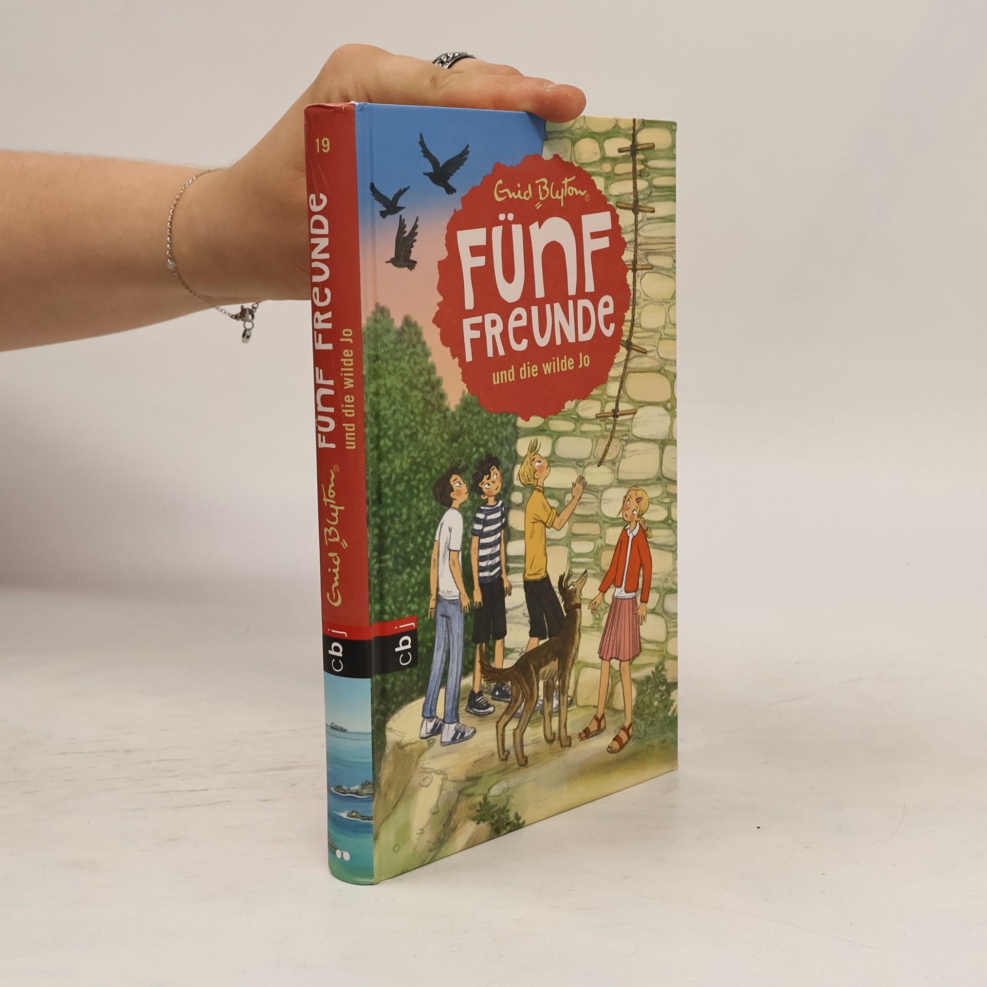Enid Blyton Fünf Freunde und die wilde Jo