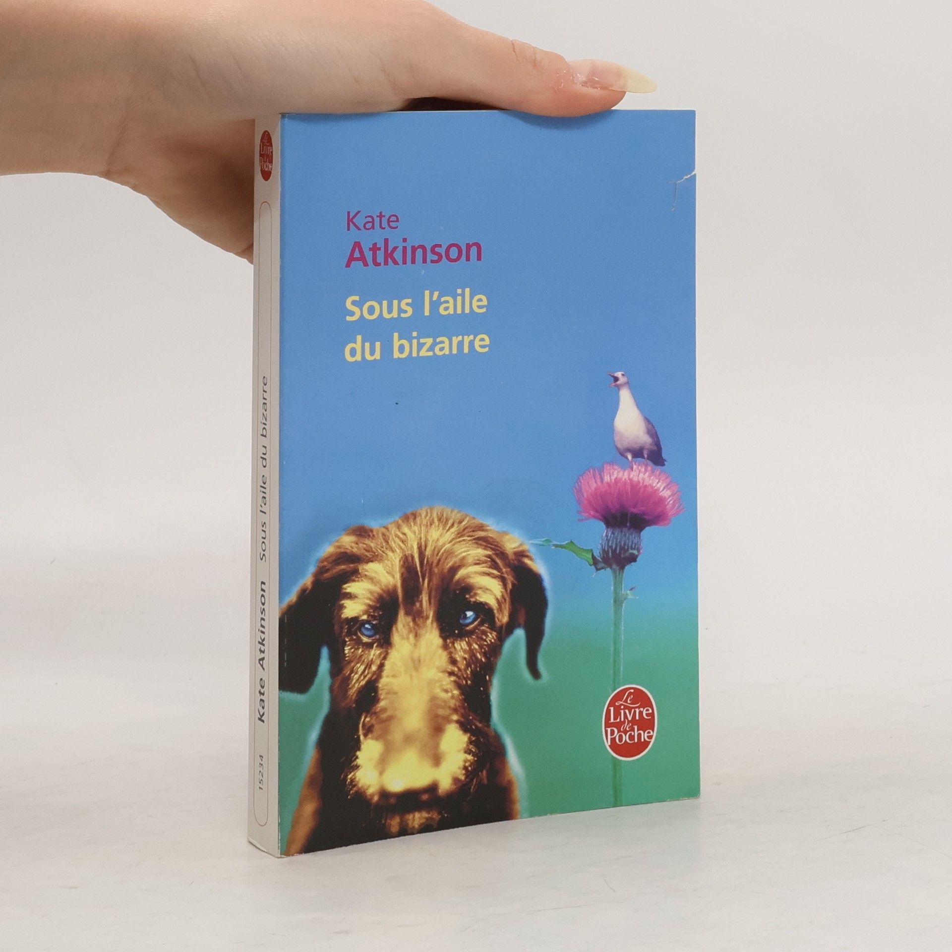 Jean Bourdier Le Livre de Poche: Sous l'aile du bizarre