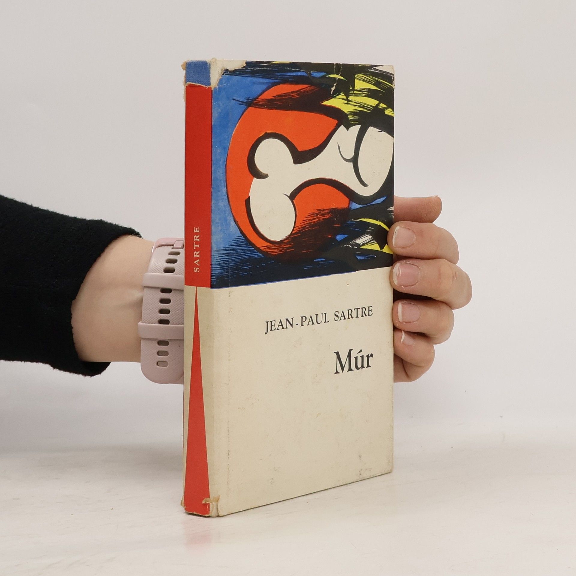 Jean-Paul Sartre Múr