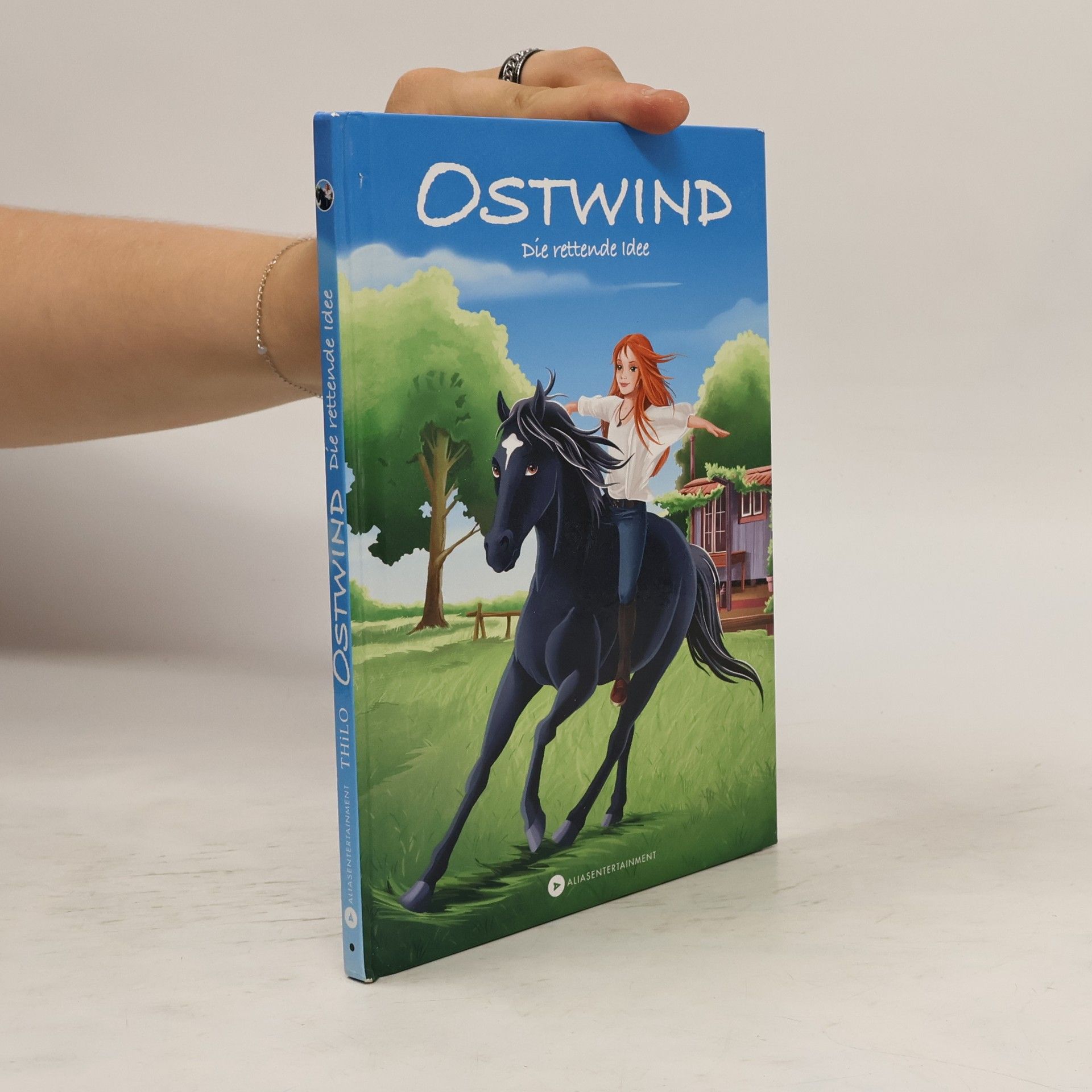 Thilo Petry-Lassak Ostwind - die rettende Idee