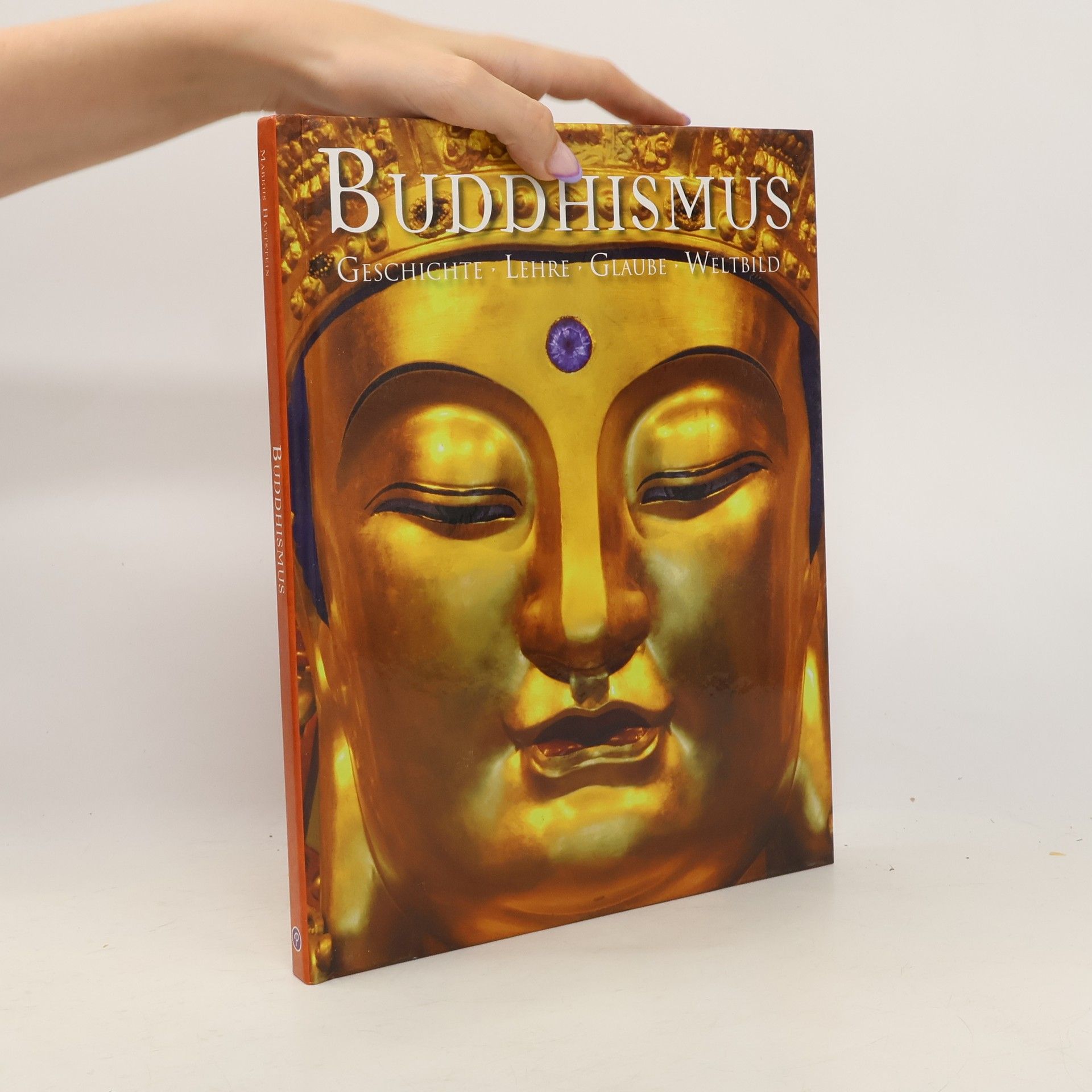 Markus Hattstein Buddhismus