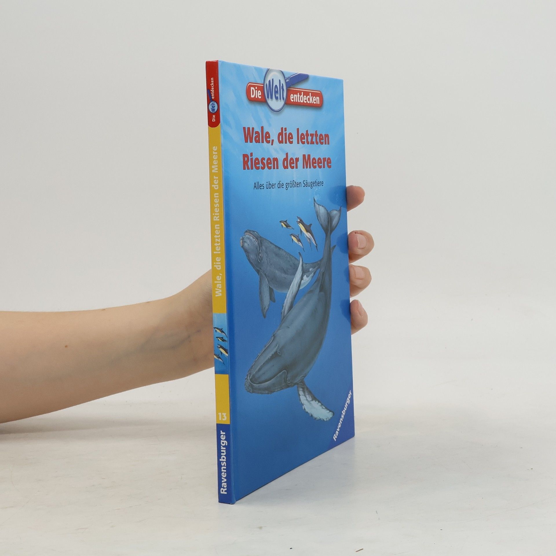 Joe lle Boucher Wale, die letzten Riesen der Meere