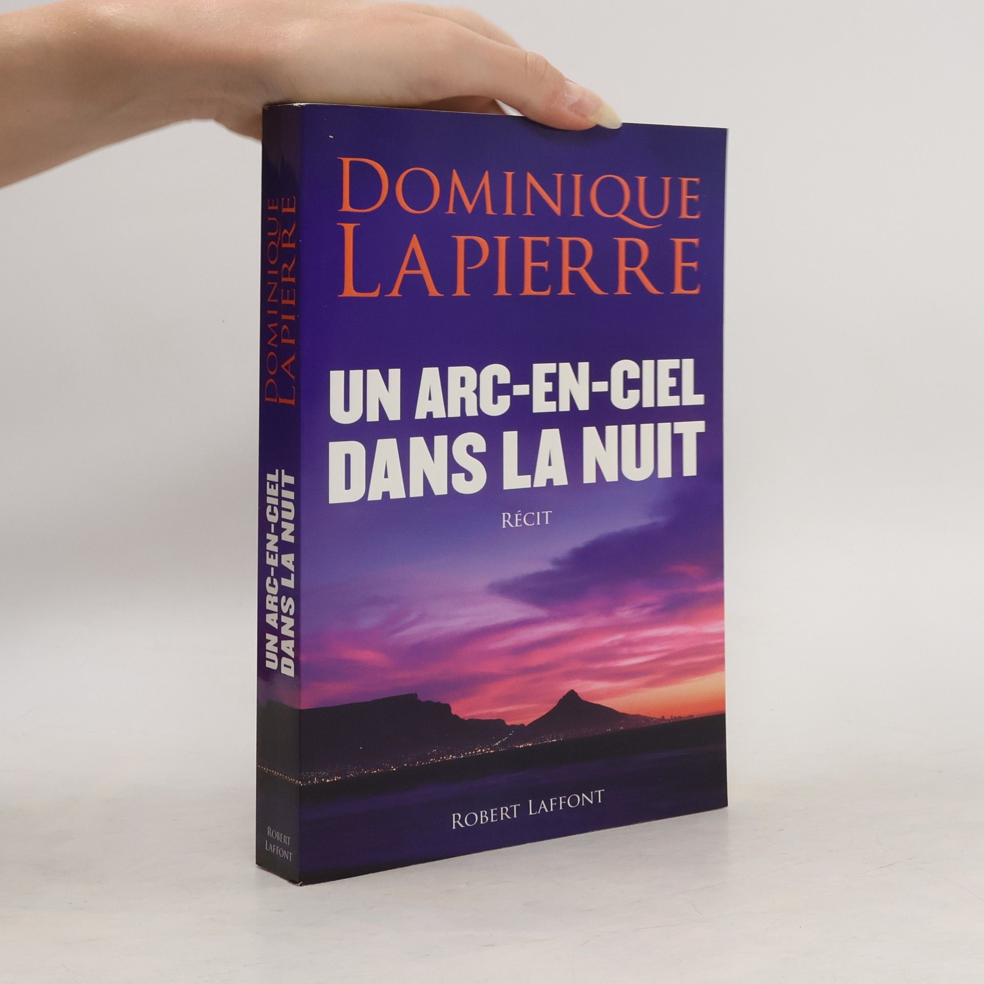 Dominique Lapierre Un arc-en-ciel dans la nuit