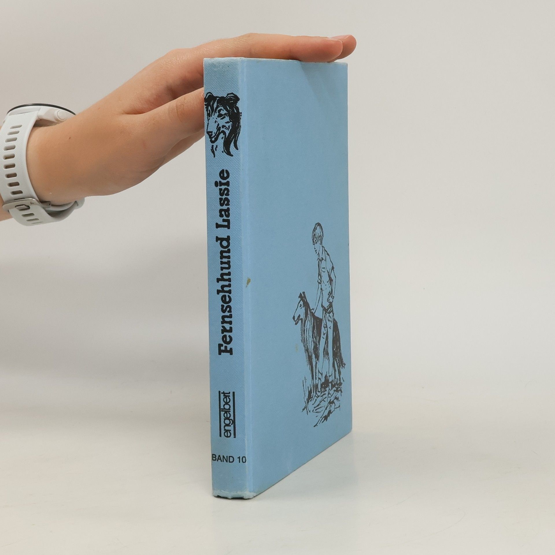 Autorenkollektiv Fernsehhund Lassie 10