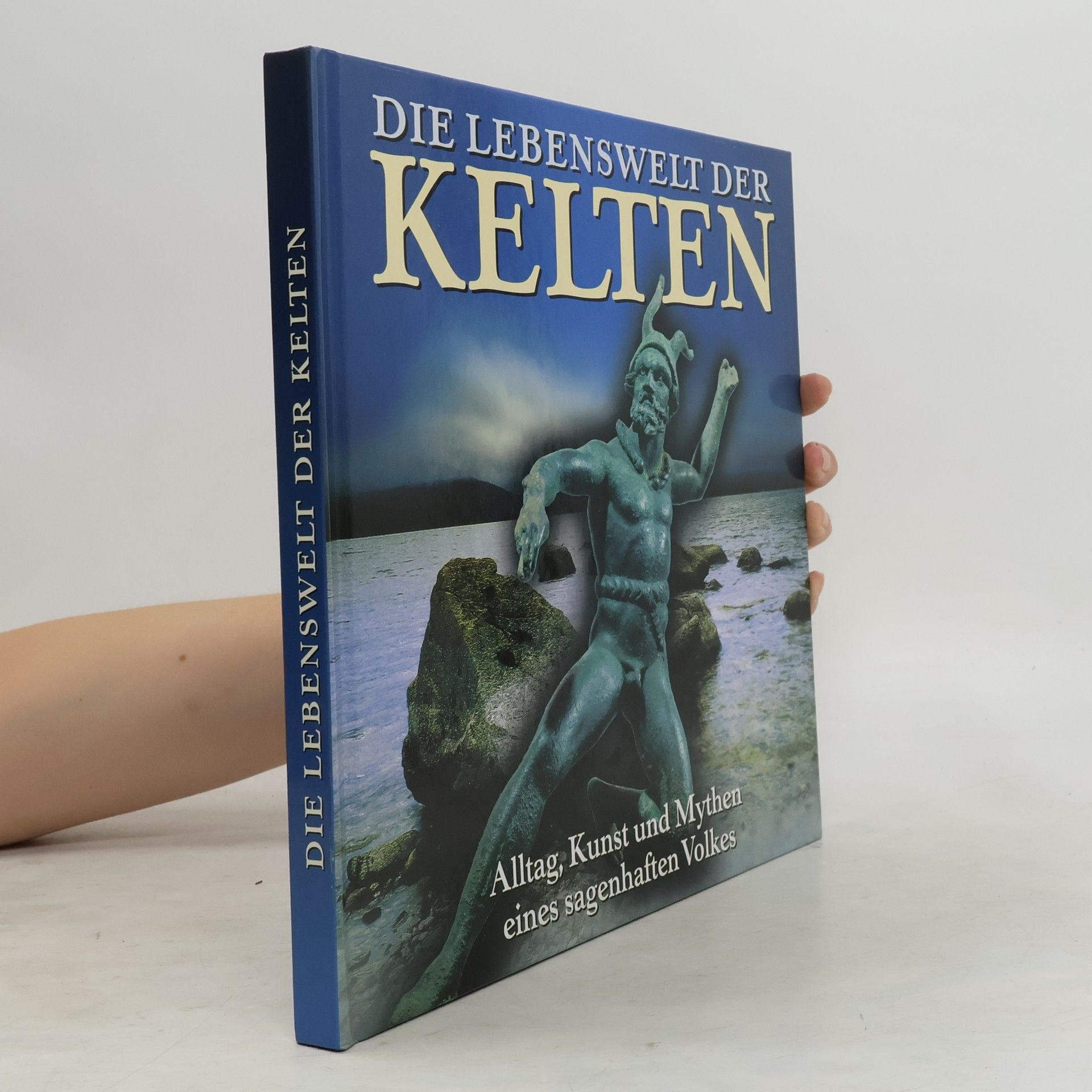 Juliette Wood Die Lebenswelt der Kelten