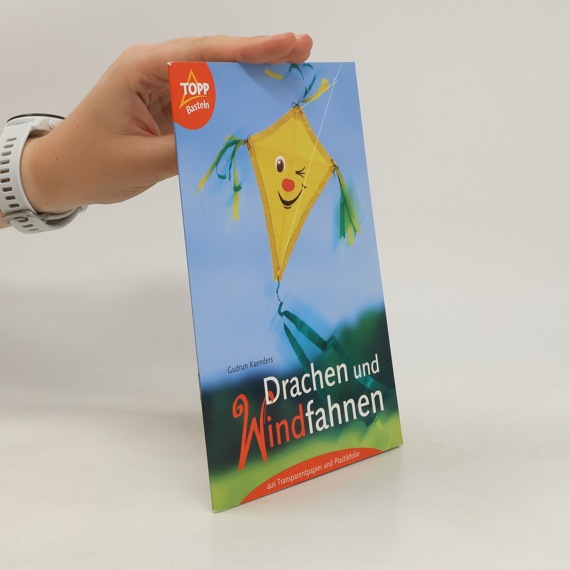 Gudrun Kaenders Drachen und Windfahnen