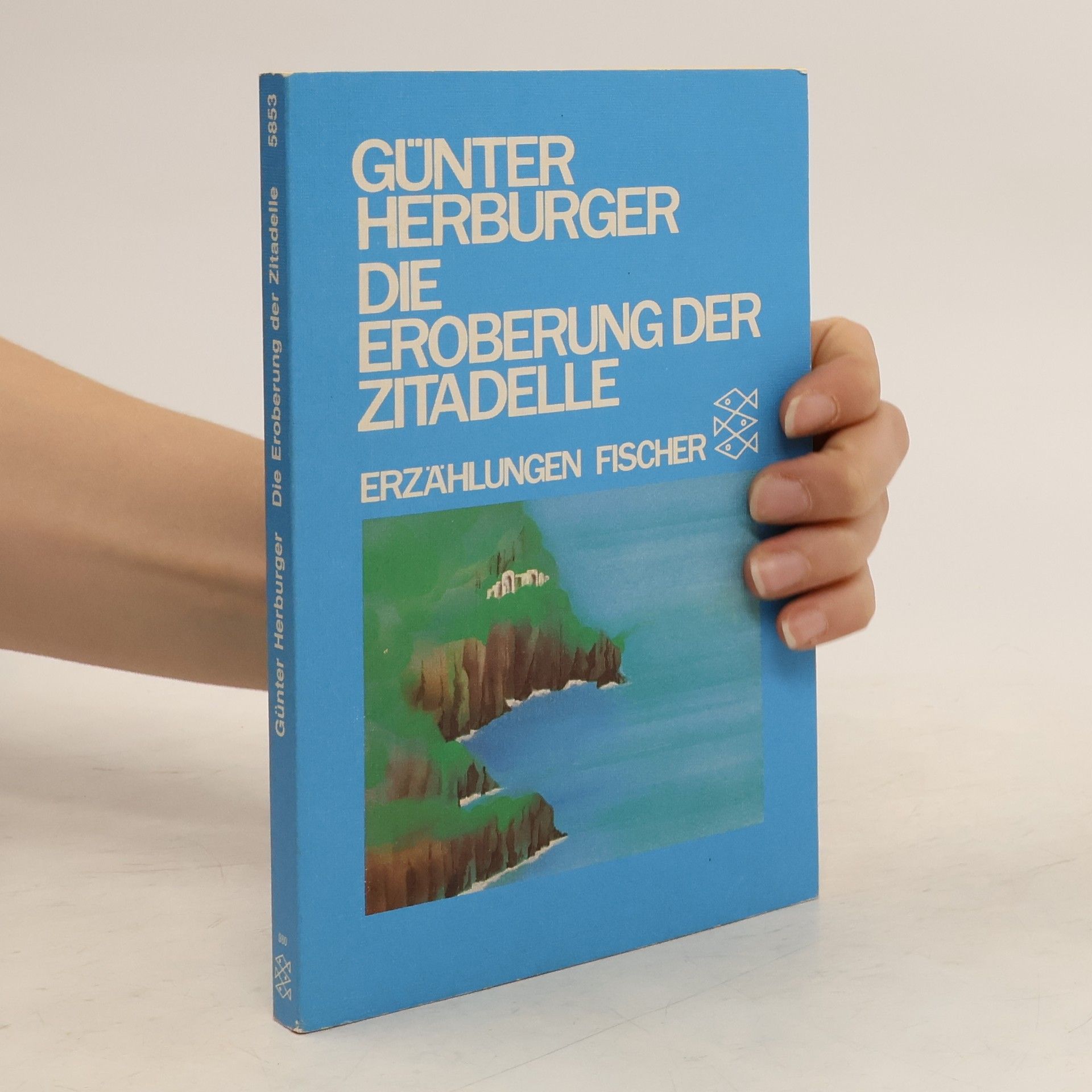 Günter Herburger Die Eroberung der Zitadelle