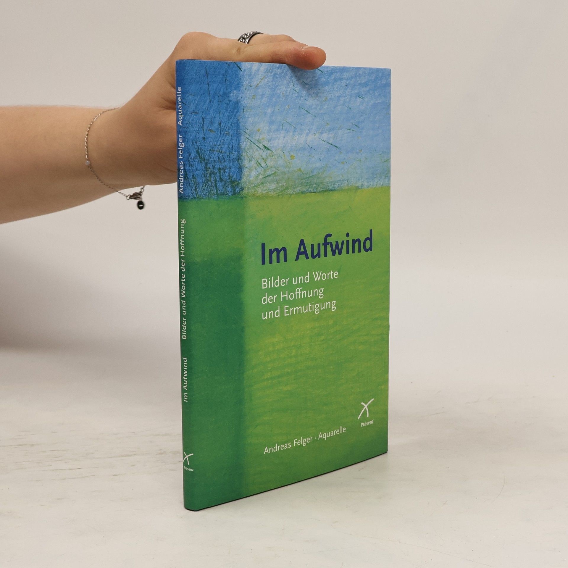 Andreas Felger Im Aufwind