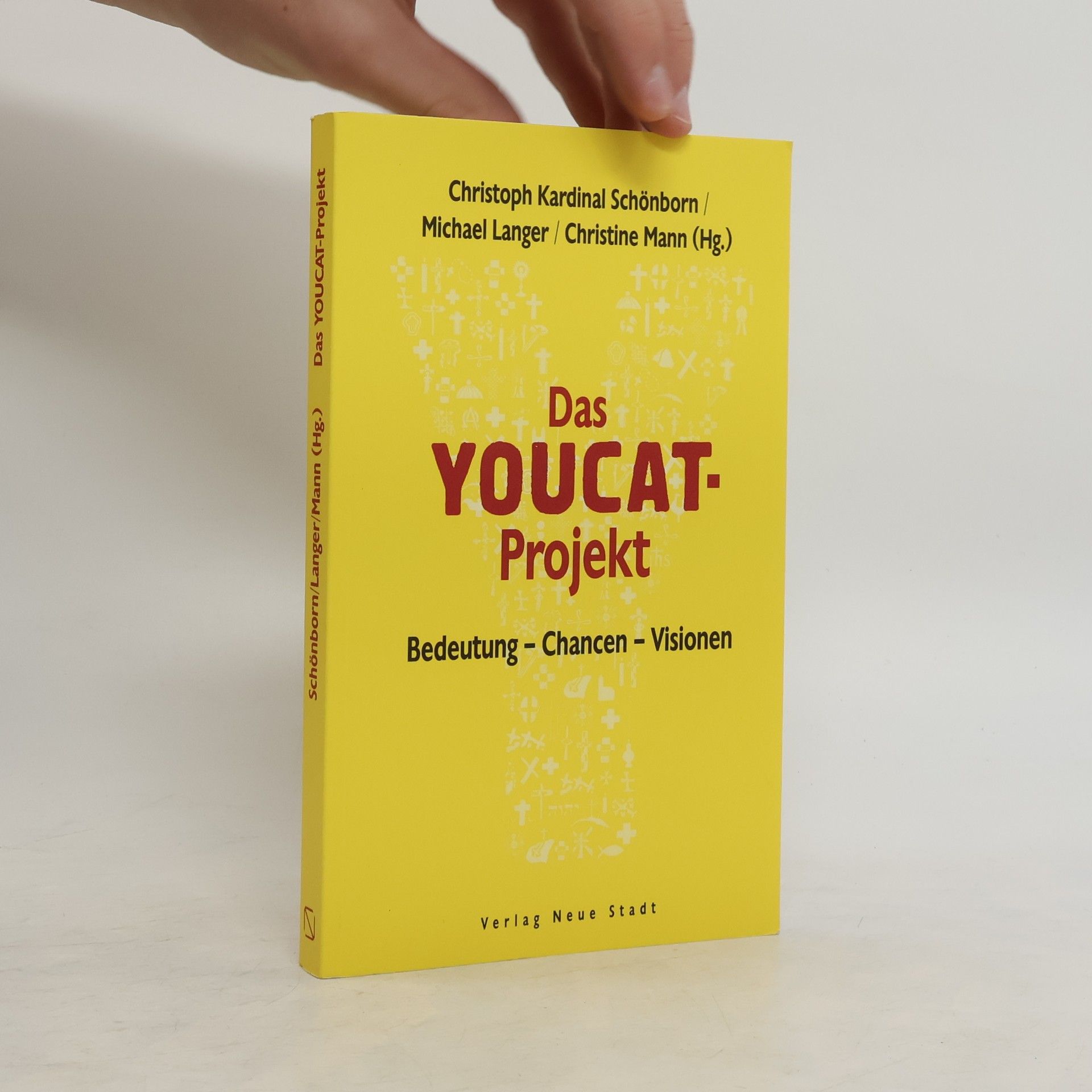 Michael Langer Das YOUCAT-Projekt