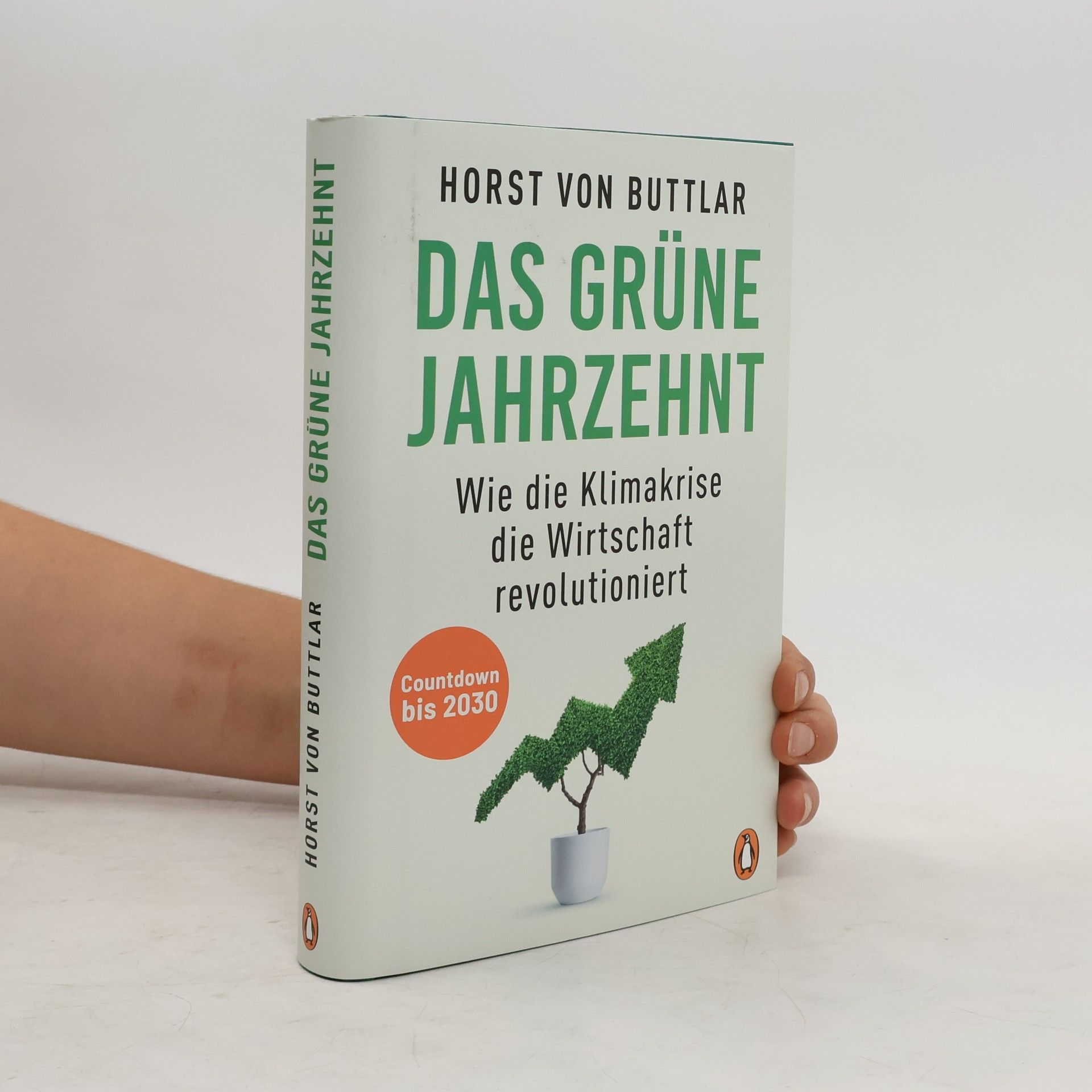 Horst von Buttlar Das grüne Jahrzehnt