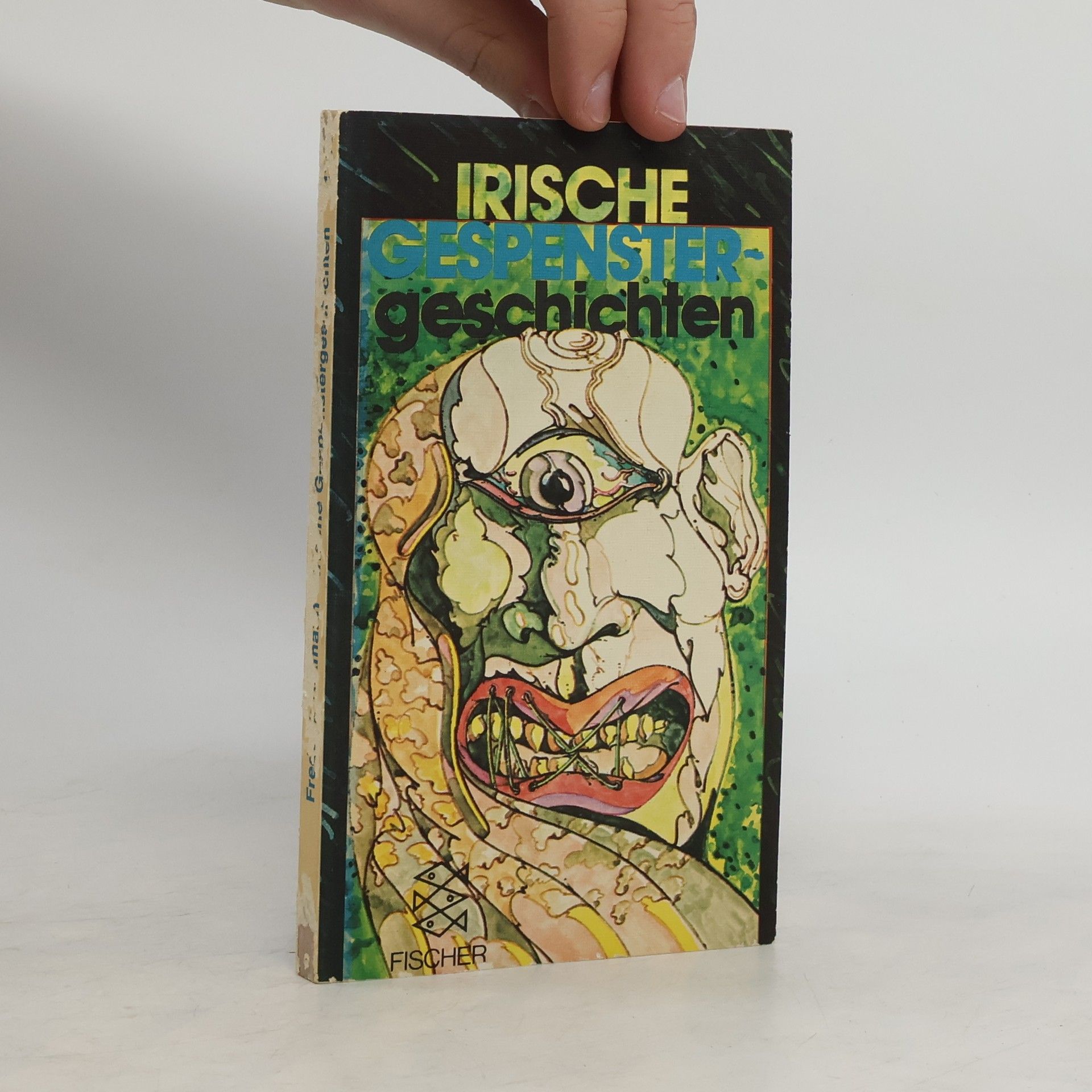 Hans-Christian Kirsch Irische Gespenstergeschichten