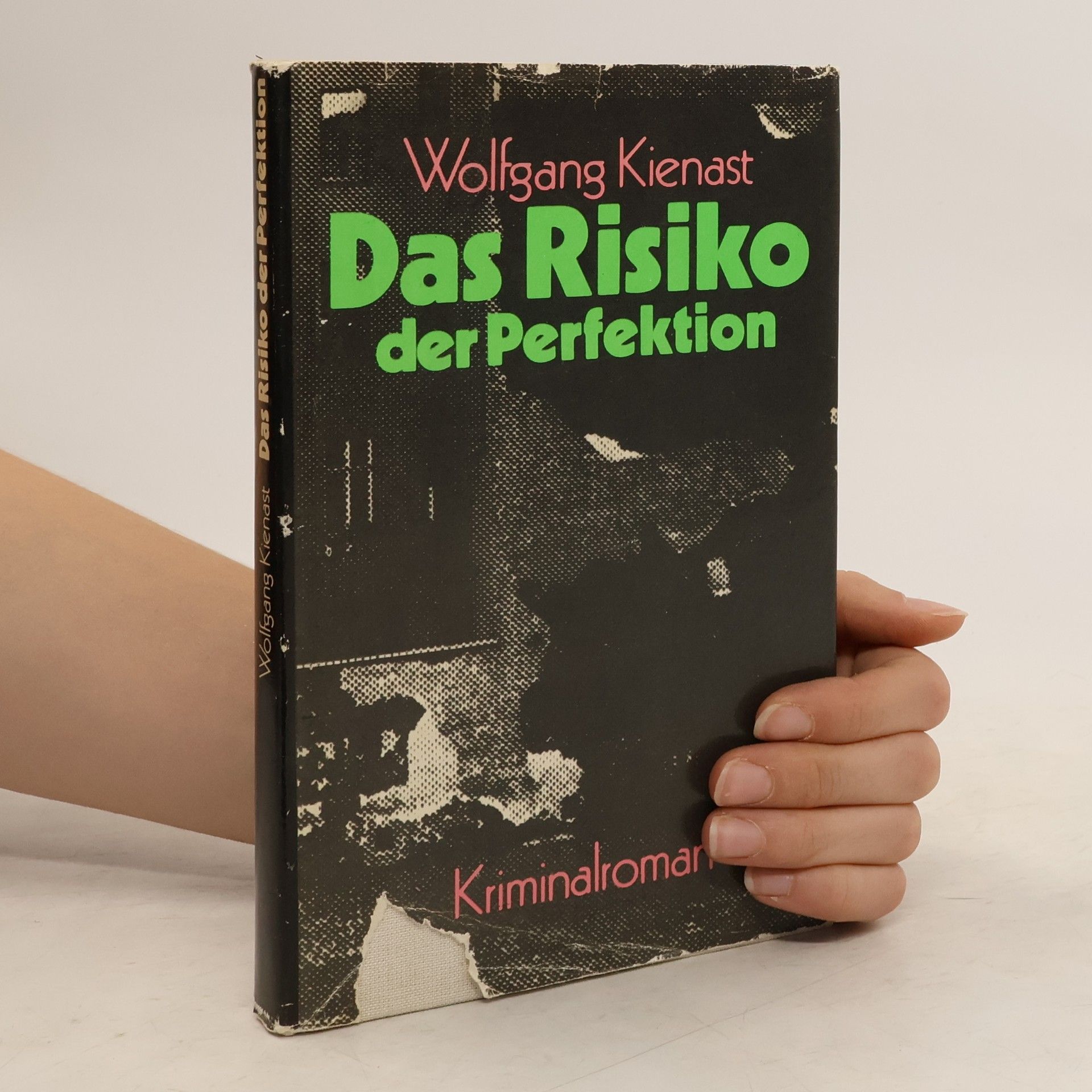 Wolfgang Kienast Das Risiko der Perfektion