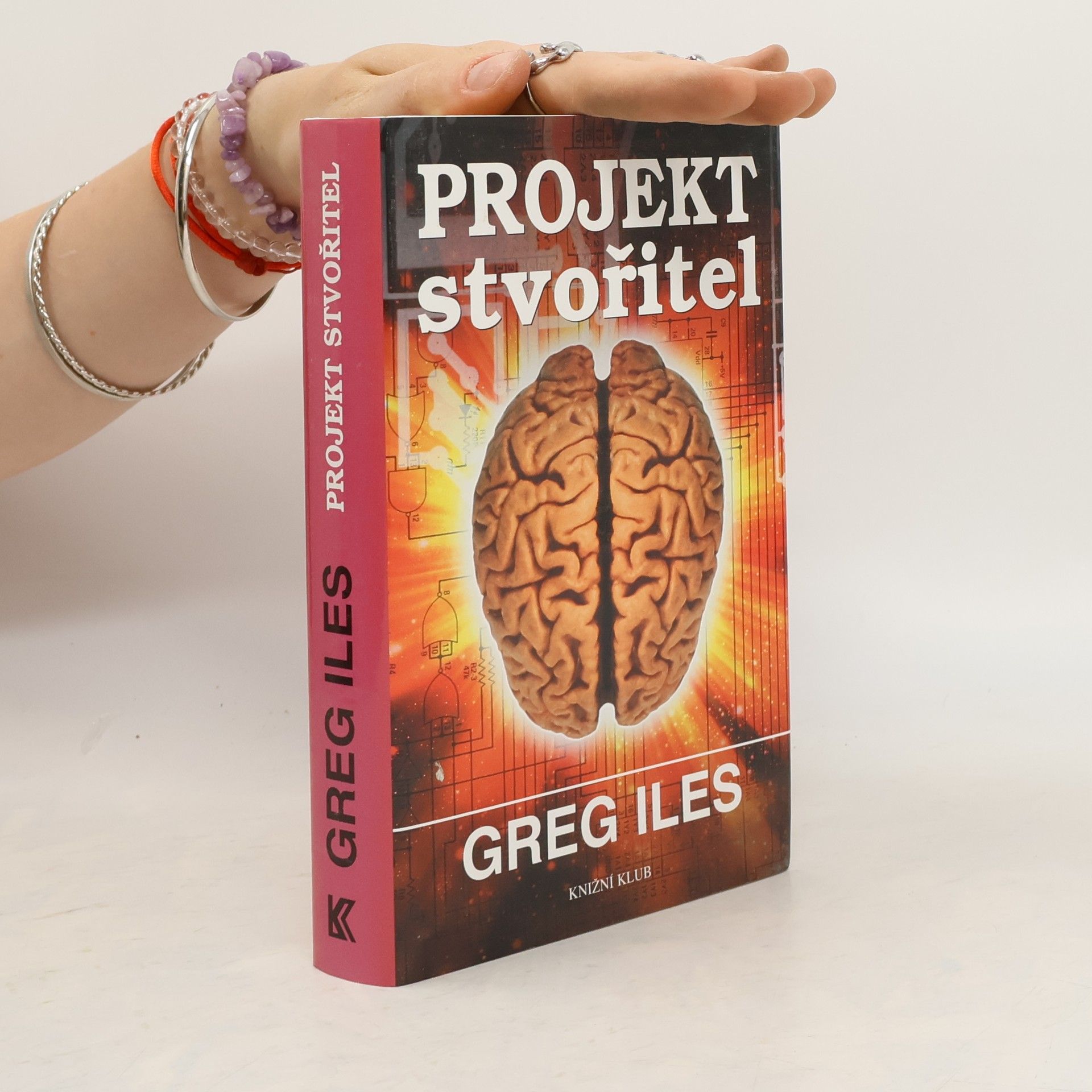 Greg Iles Projekt stvořitel
