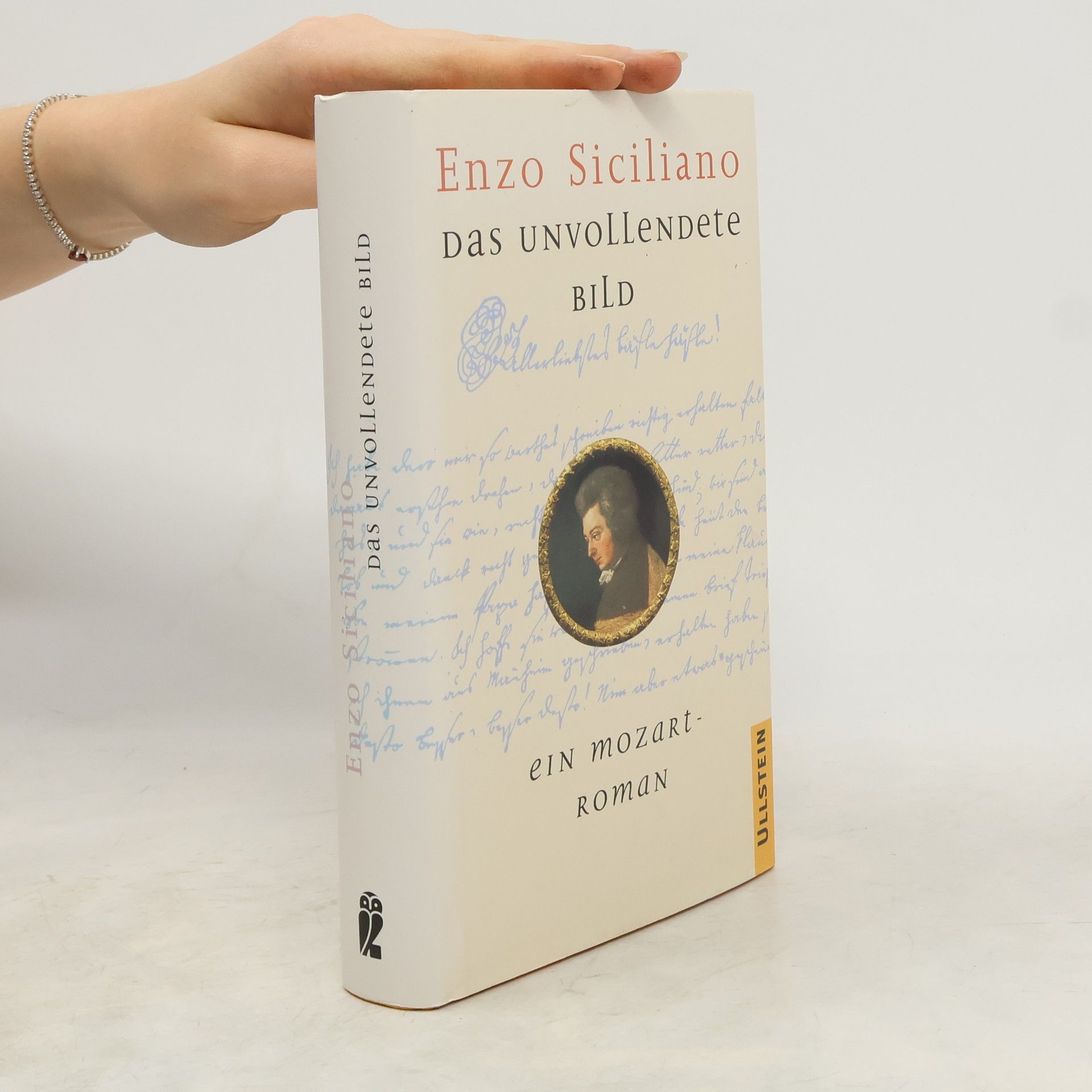 Enzo Siciliano Das unvollendete Bild
