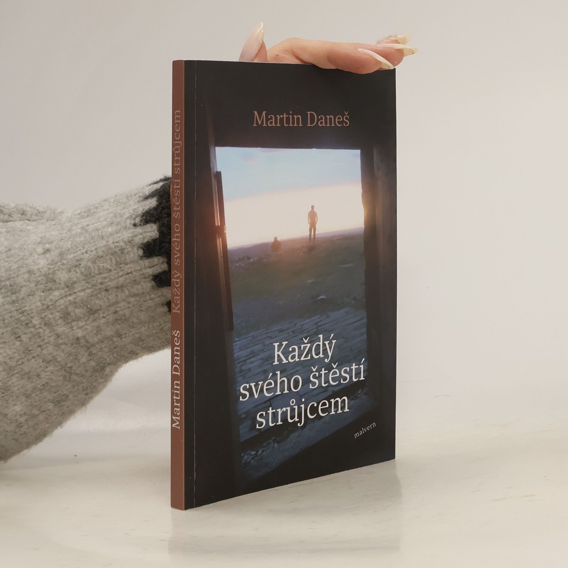 Martin Daneš Každý svého štěstí strůjcem