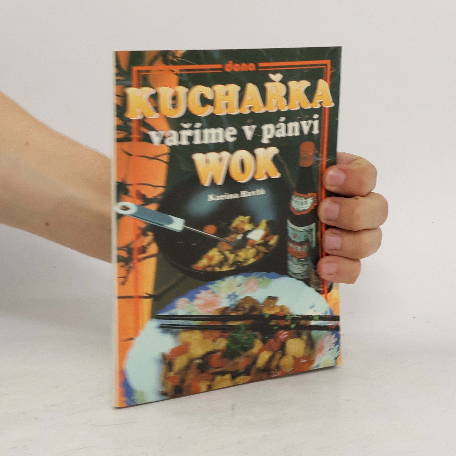Karina Havlů Vaříme v pánvi WOK