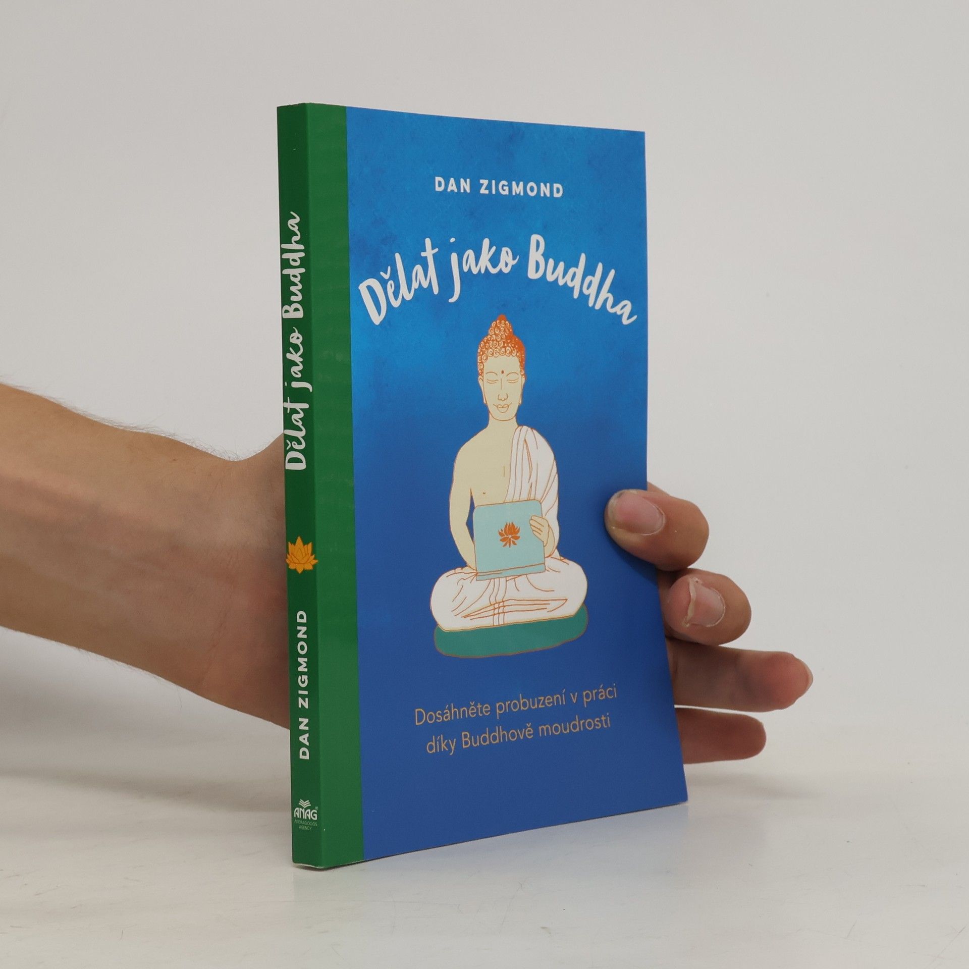 Dan Zigmond Dělat jako Buddha