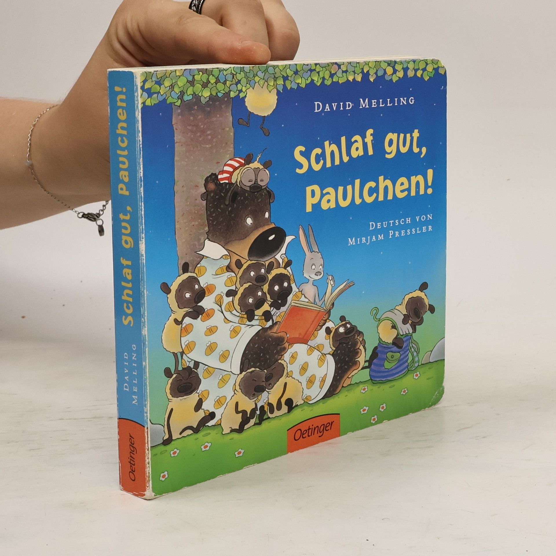 David Melling Schlaf gut, Paulchen!