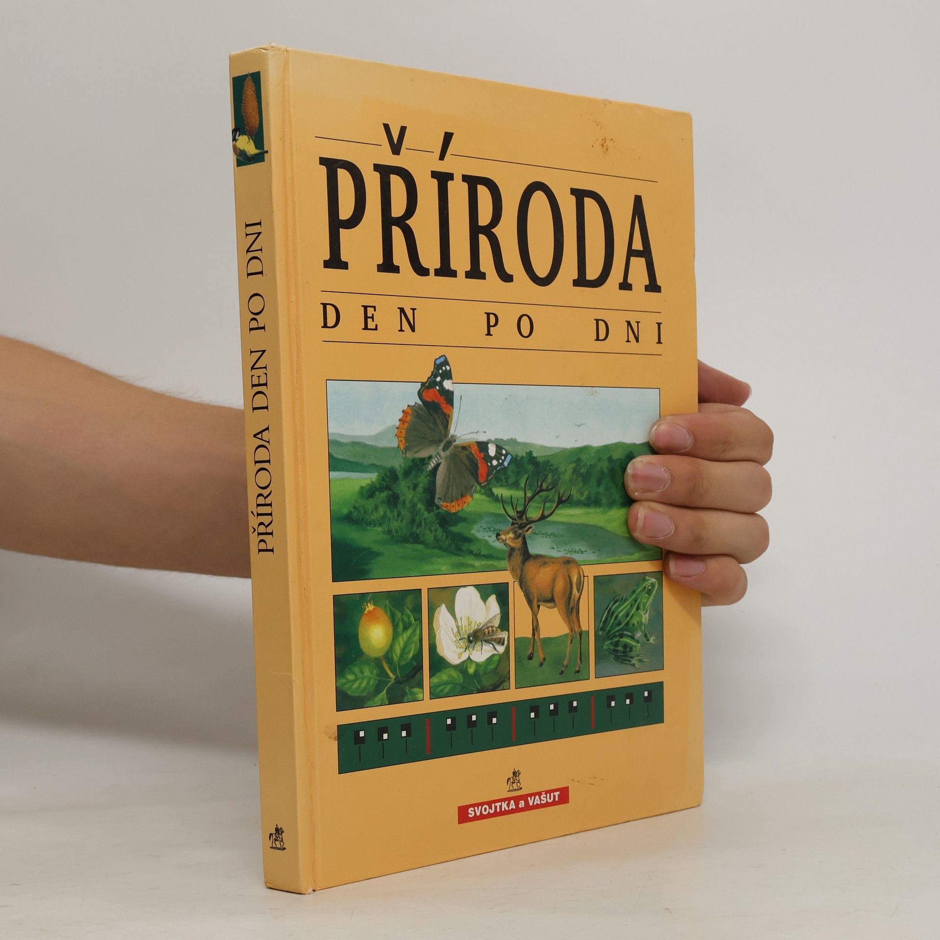 Blandine de Montmorillon Příroda den po dni