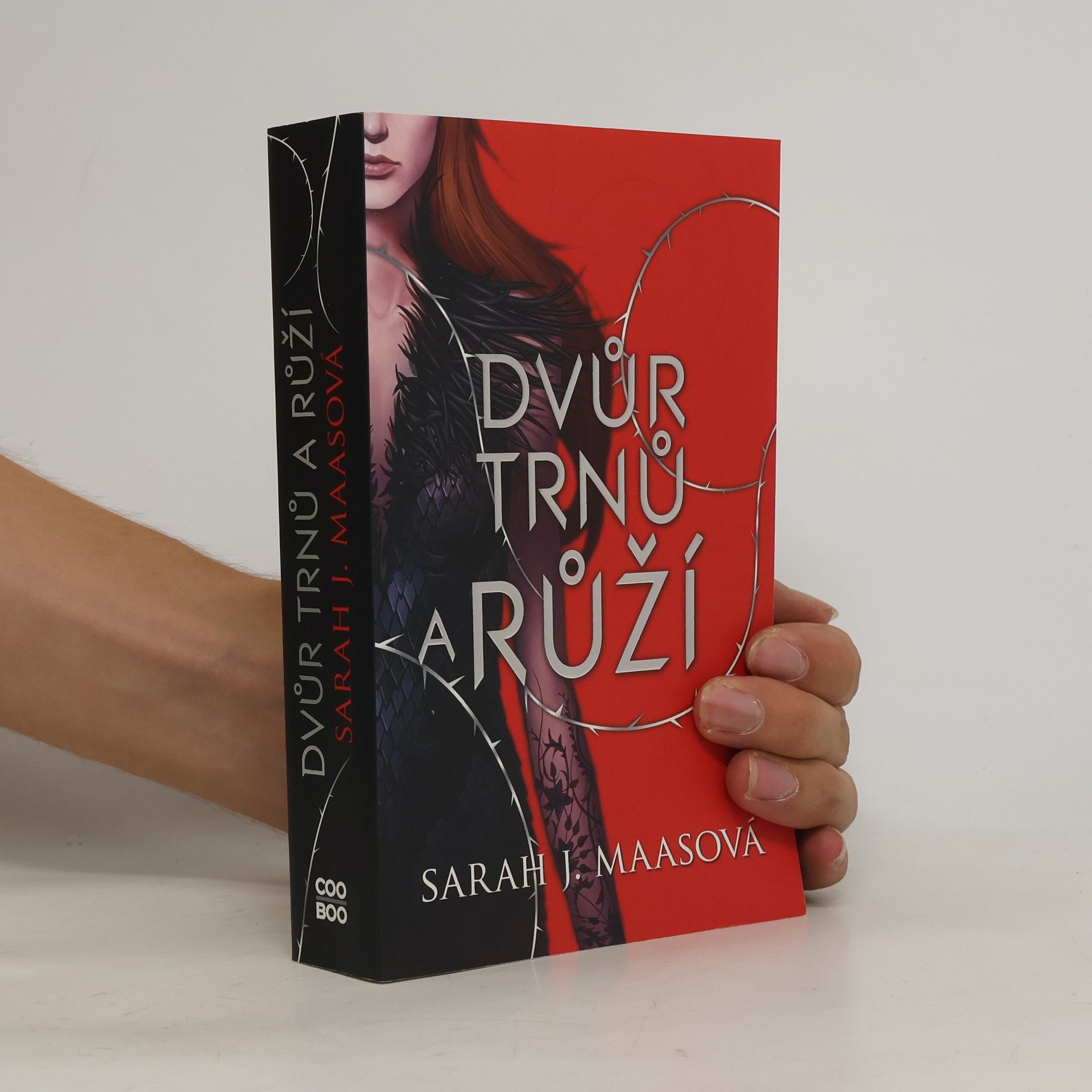 Sarah J. Maas Dvůr trnů a růží
