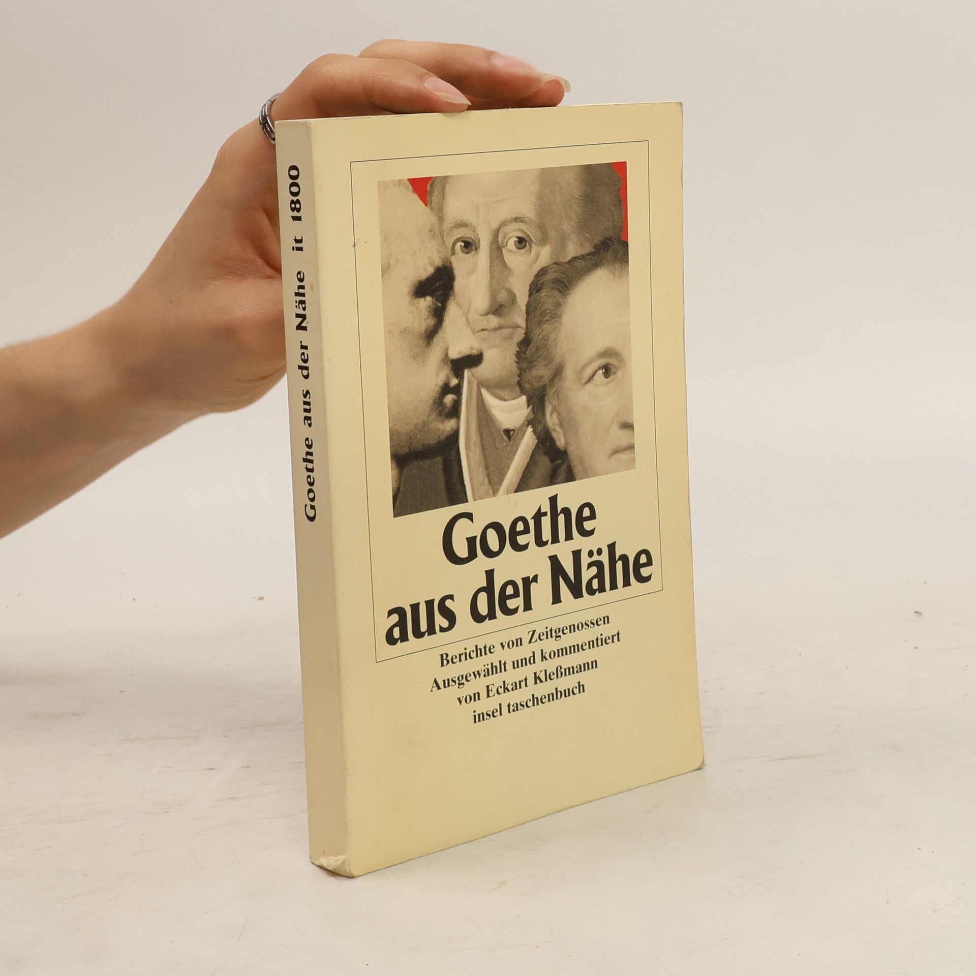 Eckart Klesmann Goethe aus der Nähe