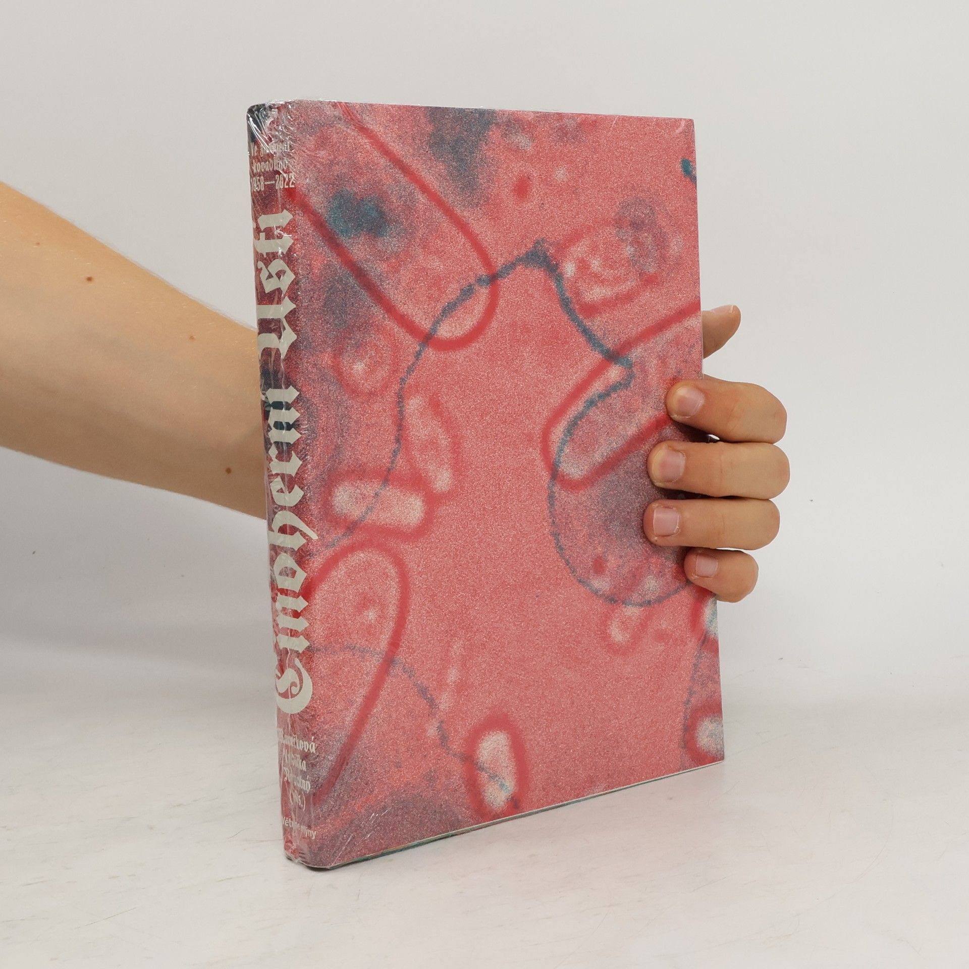 Libor Vodička Činoherní Ústí. Ve znamení kovadliny 1958 -2022