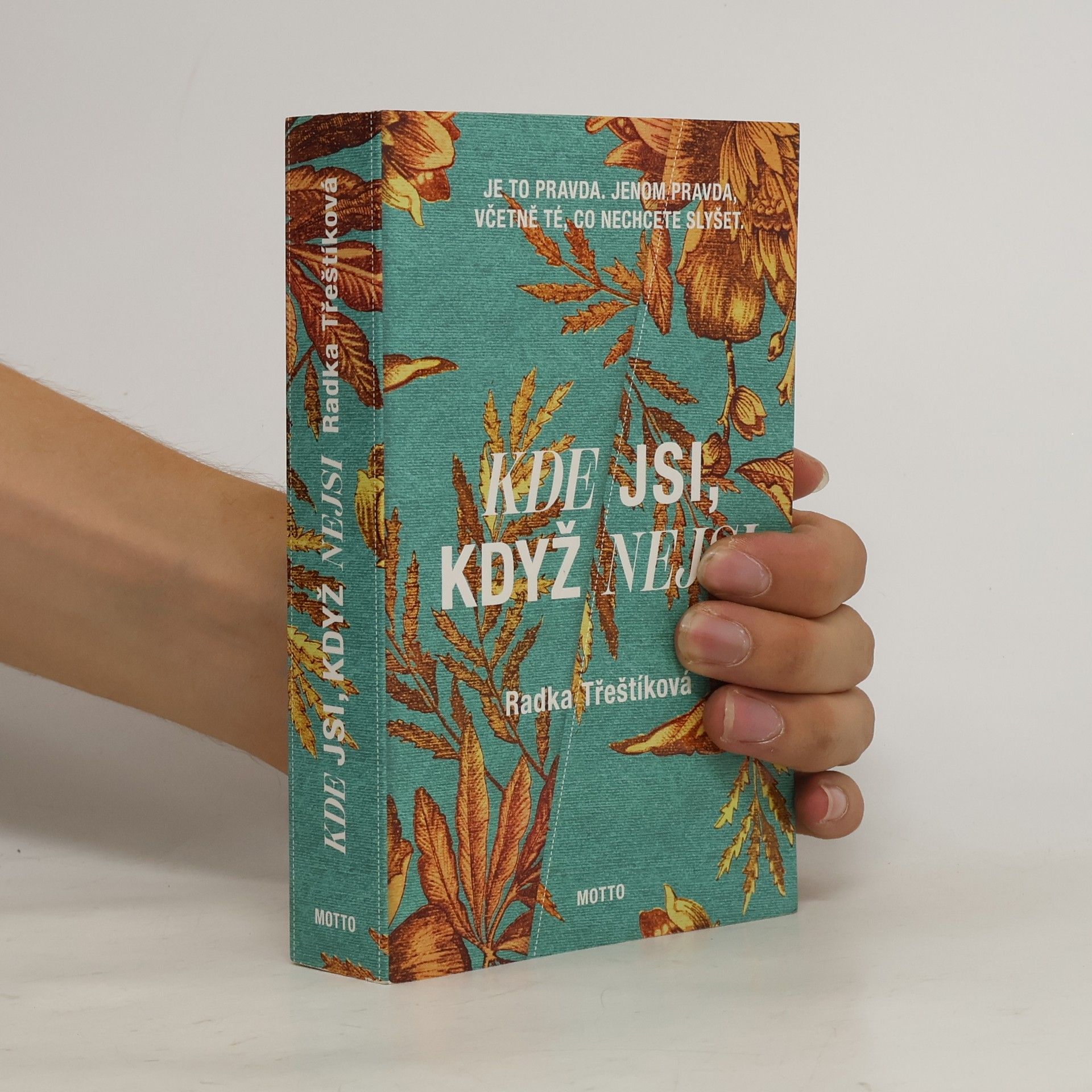 Radka Třeštíková Kde jsi, když nejsi