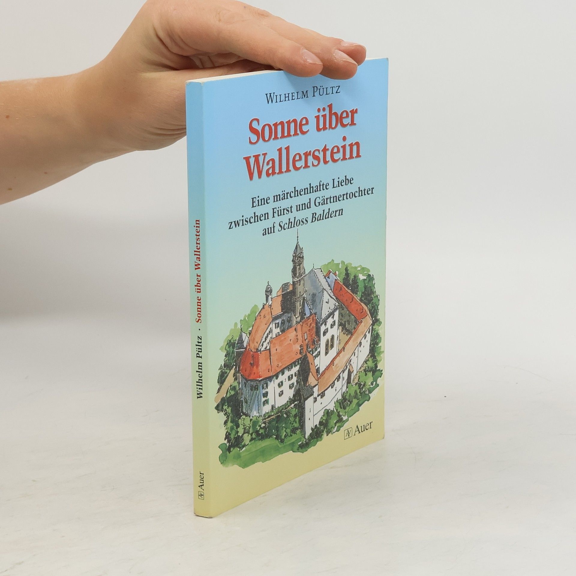 Wilhelm Pültz Sonne über Wallerstein