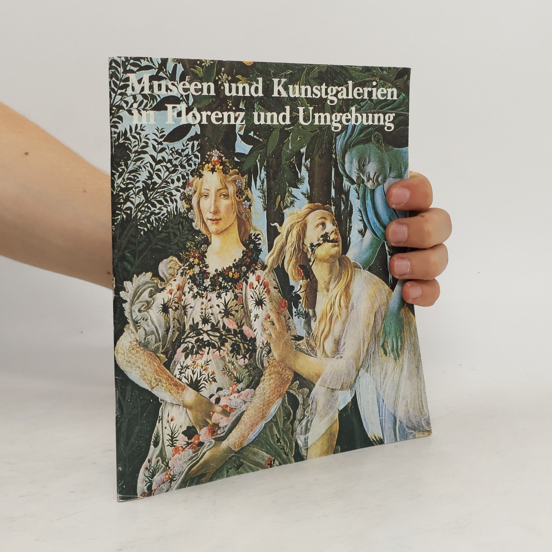 AA.VV. Museen und Kunstgalerien in Florenz und Umgebung