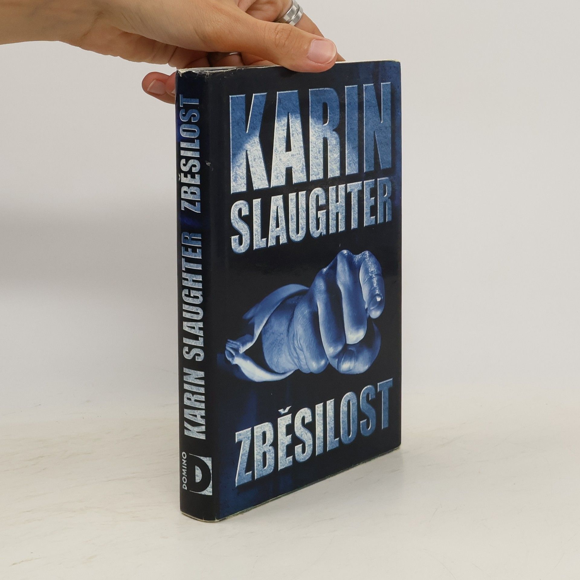 Karin Slaughter Zběsilost