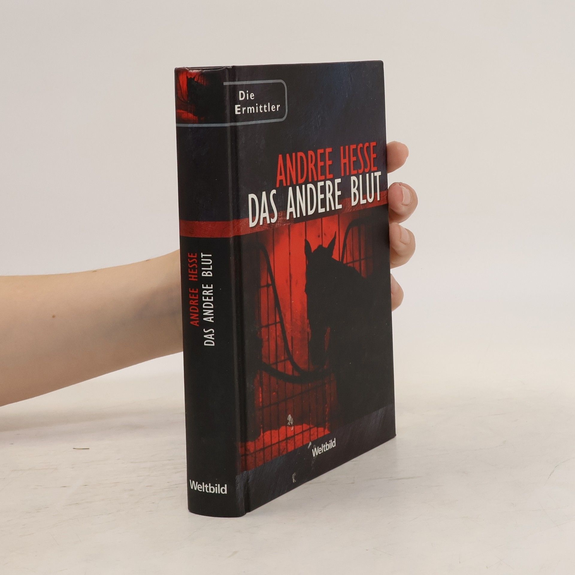 Andree Hesse Das andere Blut