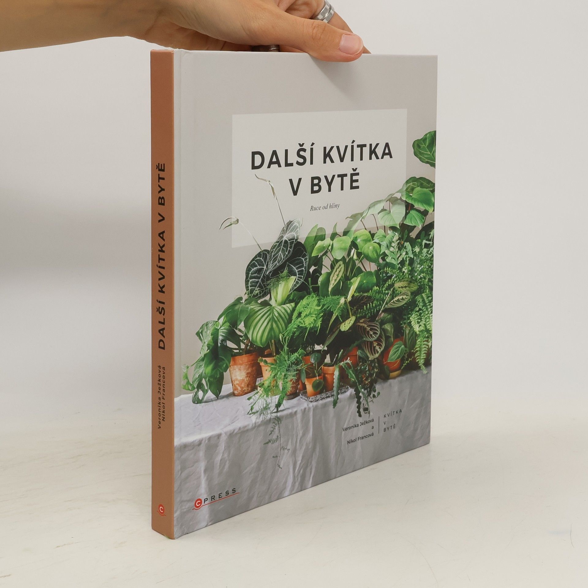 Veronika Ježková Další kvítka v bytě : Ruce od hlíny