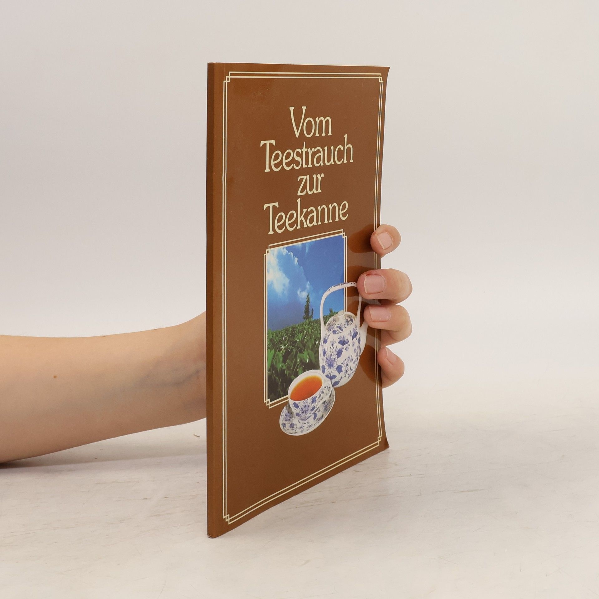 Autores varios Vom Teestrauch zur Teekanne