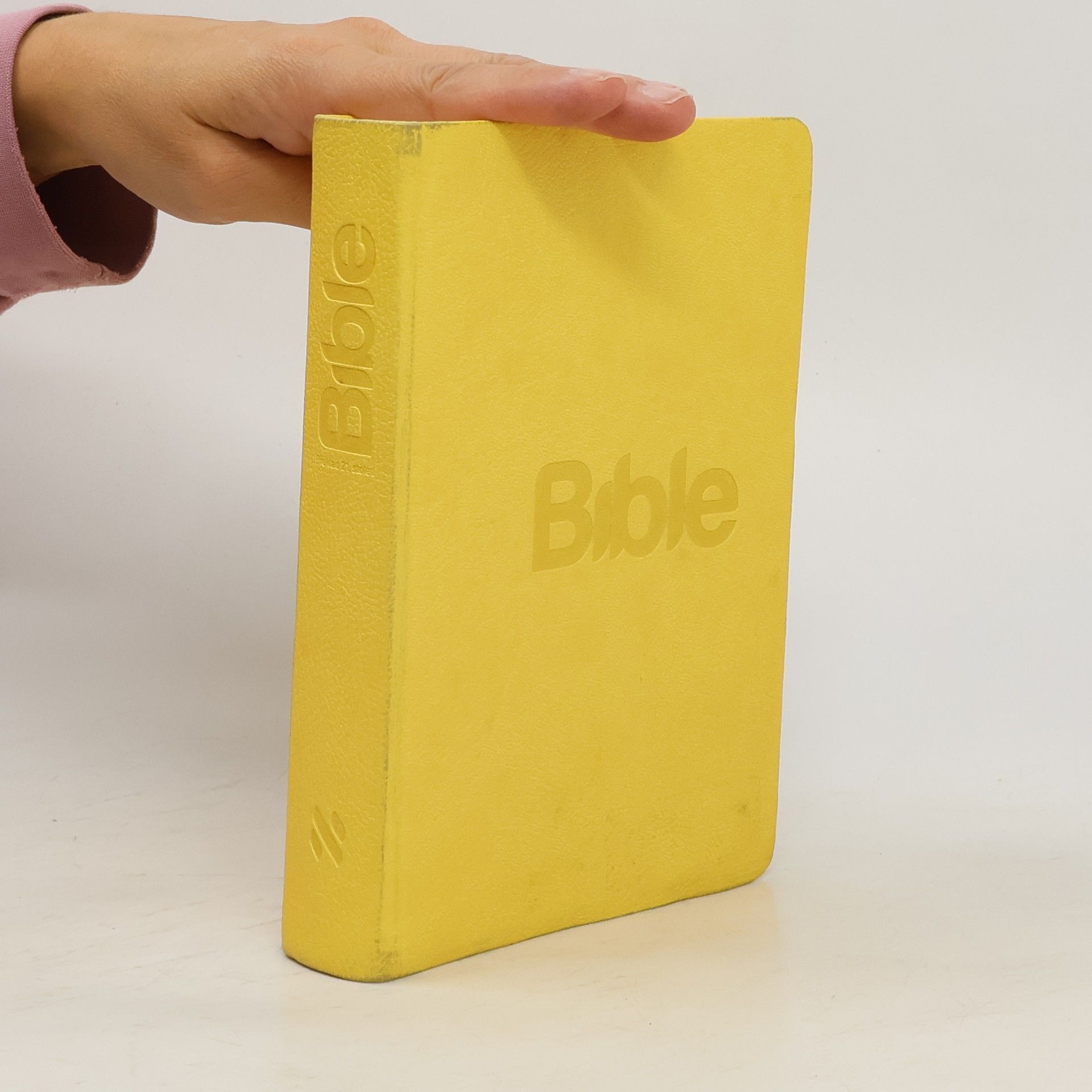 Alexandr Flek Bible. Překlad 21. století