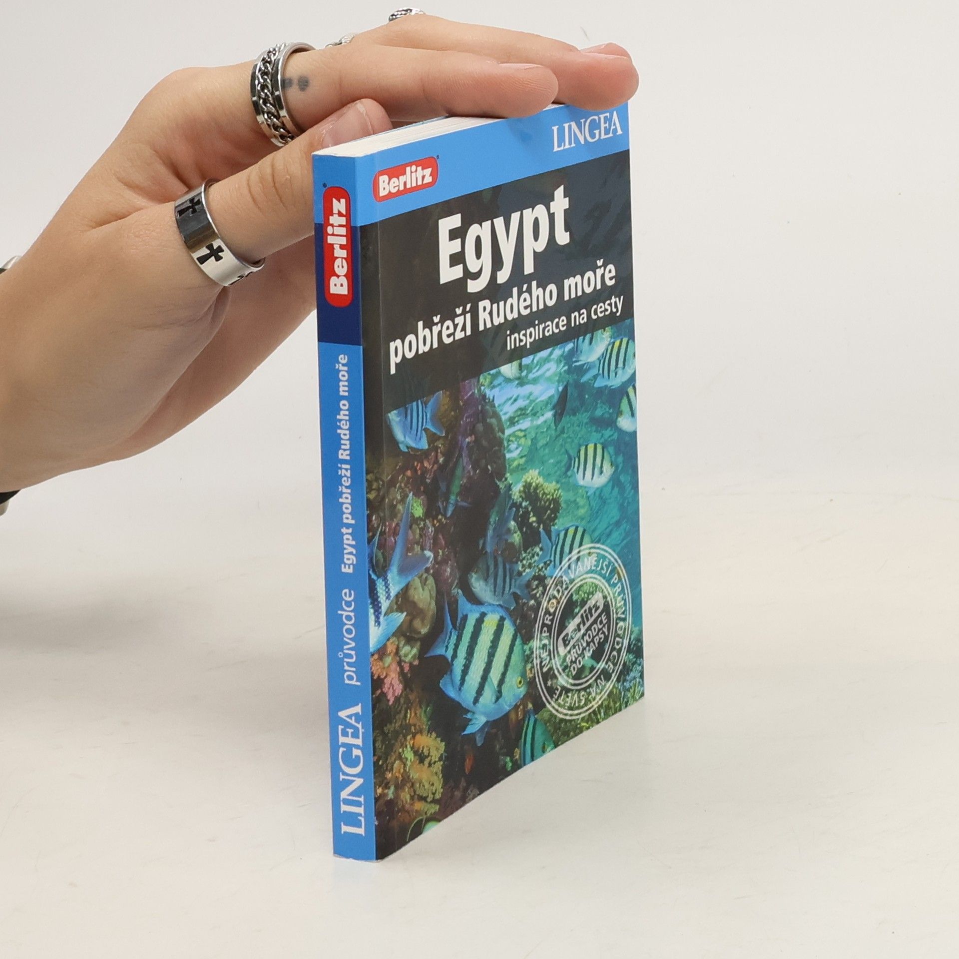 kolektiv Egypt: pobřeží Rudého moře - Inspirace na cesty