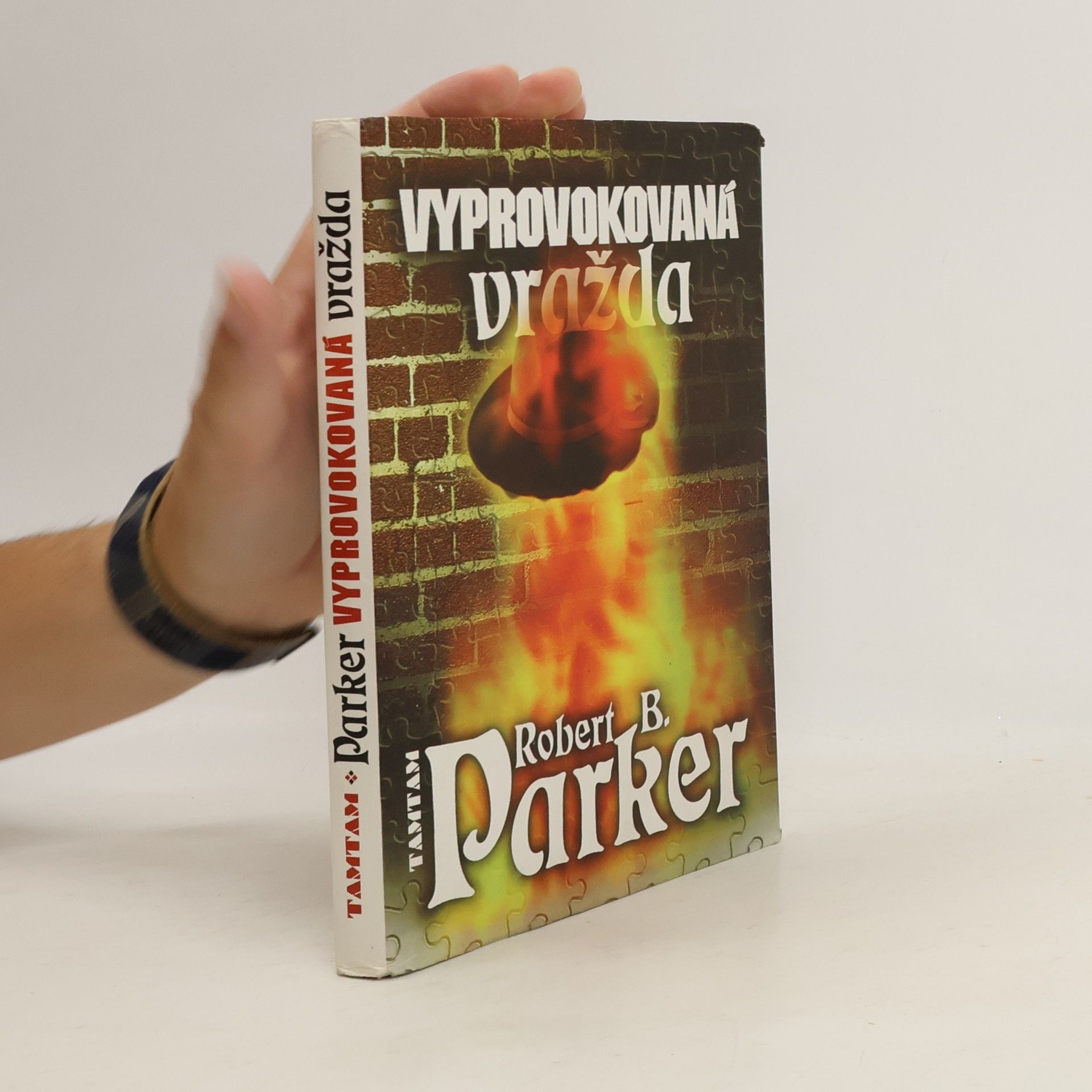 Robert B. Parker Vyprovokovaná vražda
