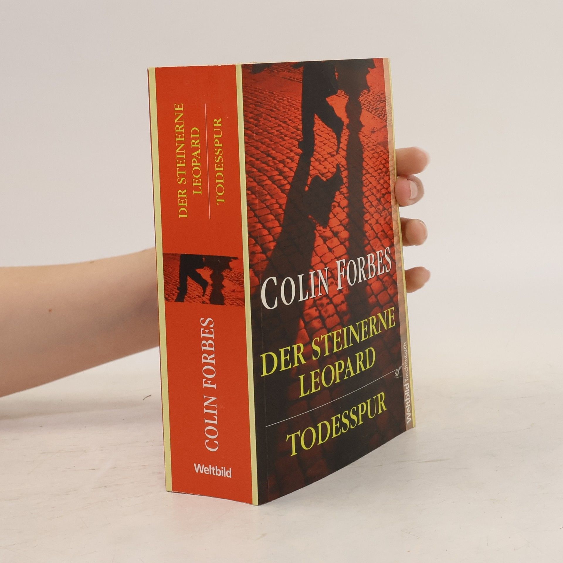 Colin Forbes Der steinerne Leopard