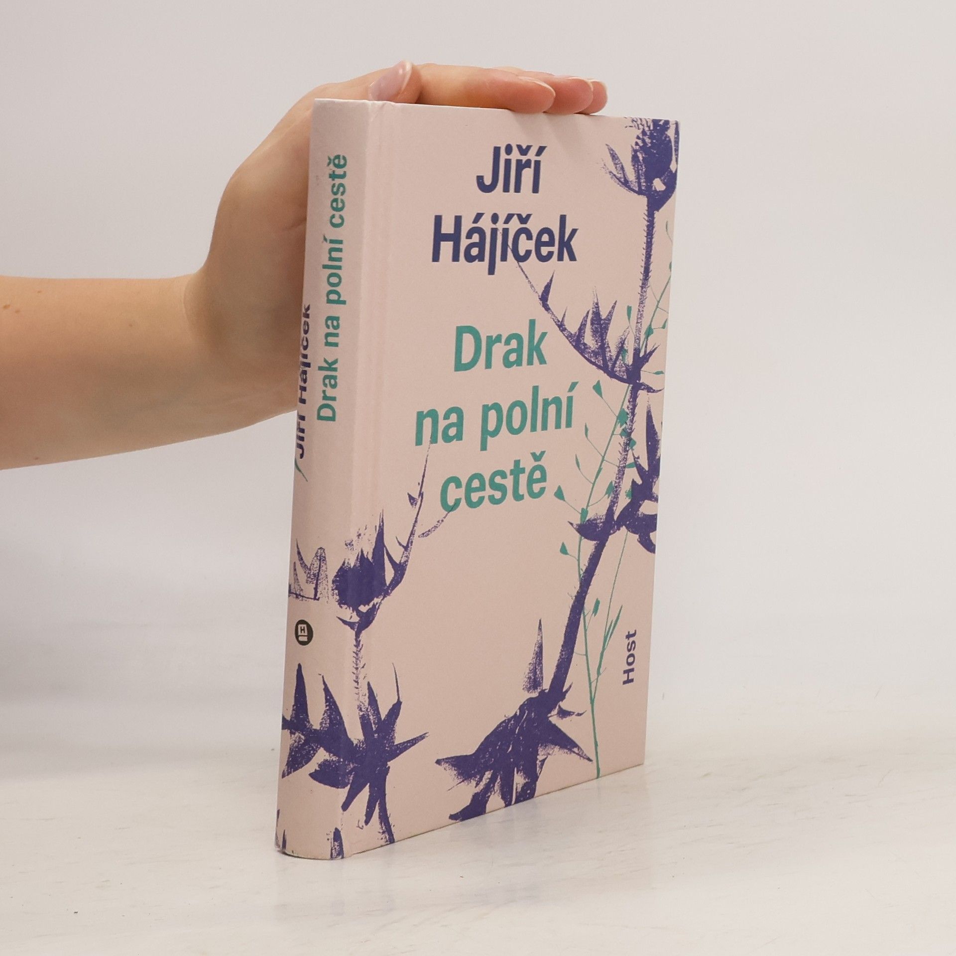 Jiří Hájíček Drak na polní cestě