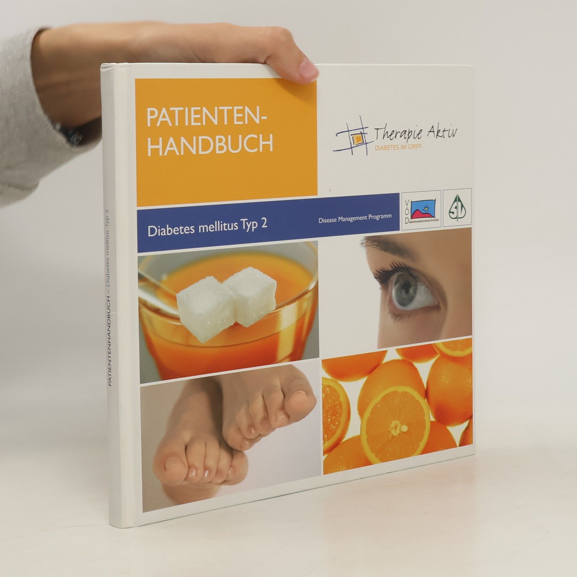 Kolektív autorov Patienten Handbuch. Diabetes Mellitus Typ 2