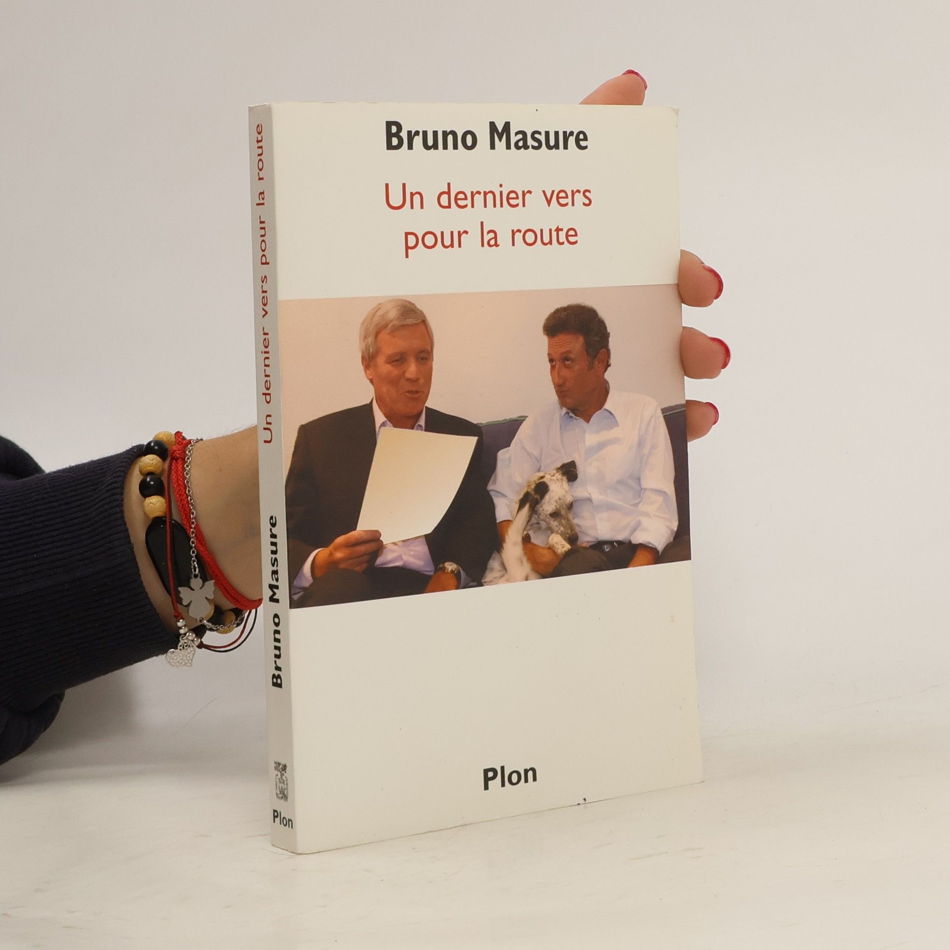 Bruno Masure Un dernier vers pour la route