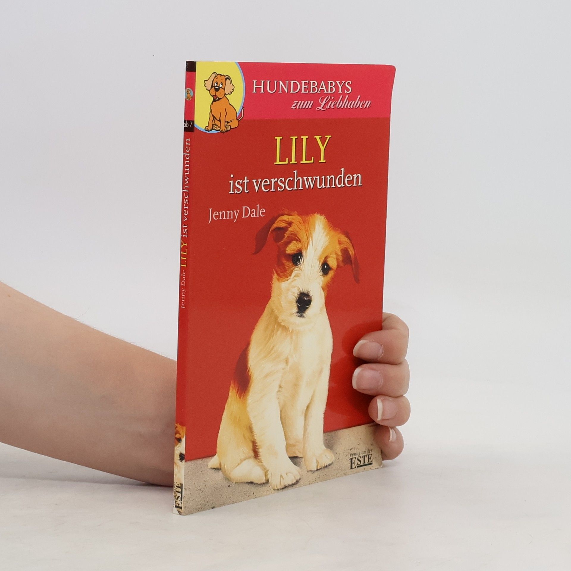 Linda Chapman Lily ist verschwunde