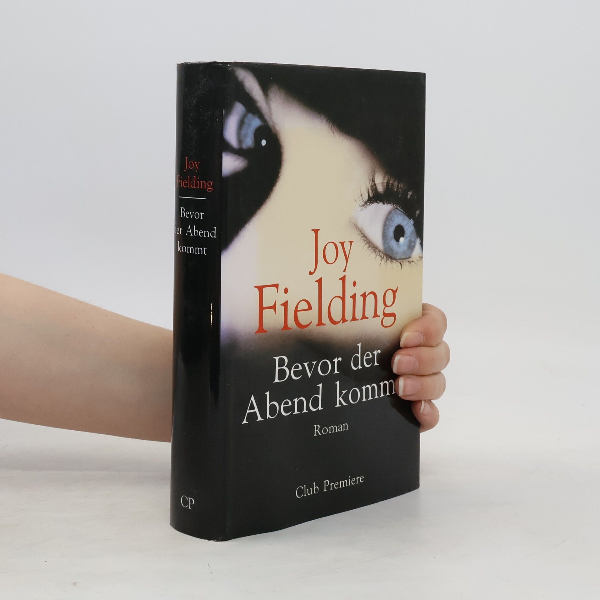 Joy Fielding Bevor der Abend kommt