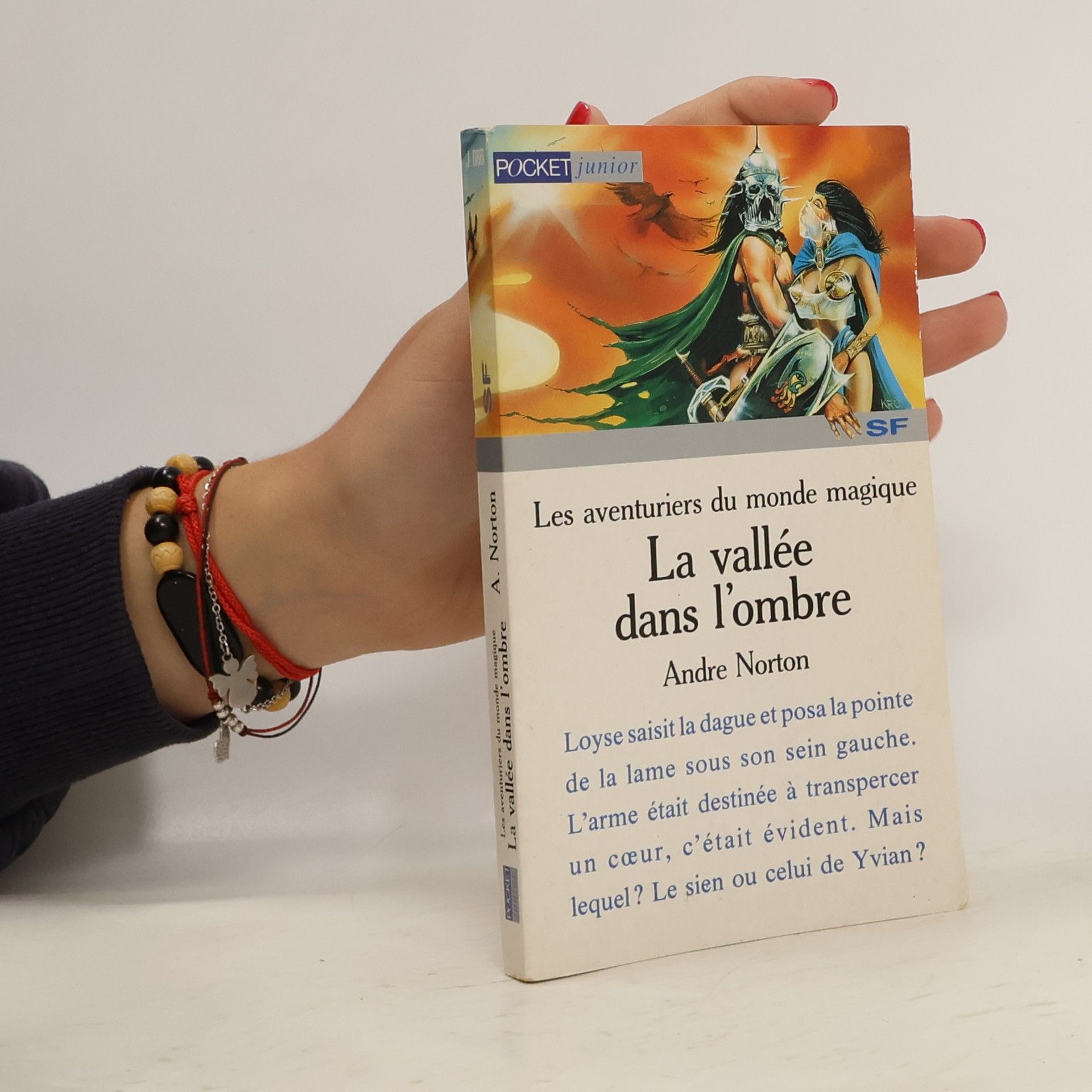 Andre Norton Les Aventuriers du monde magique: La Vallée dans l'ombre