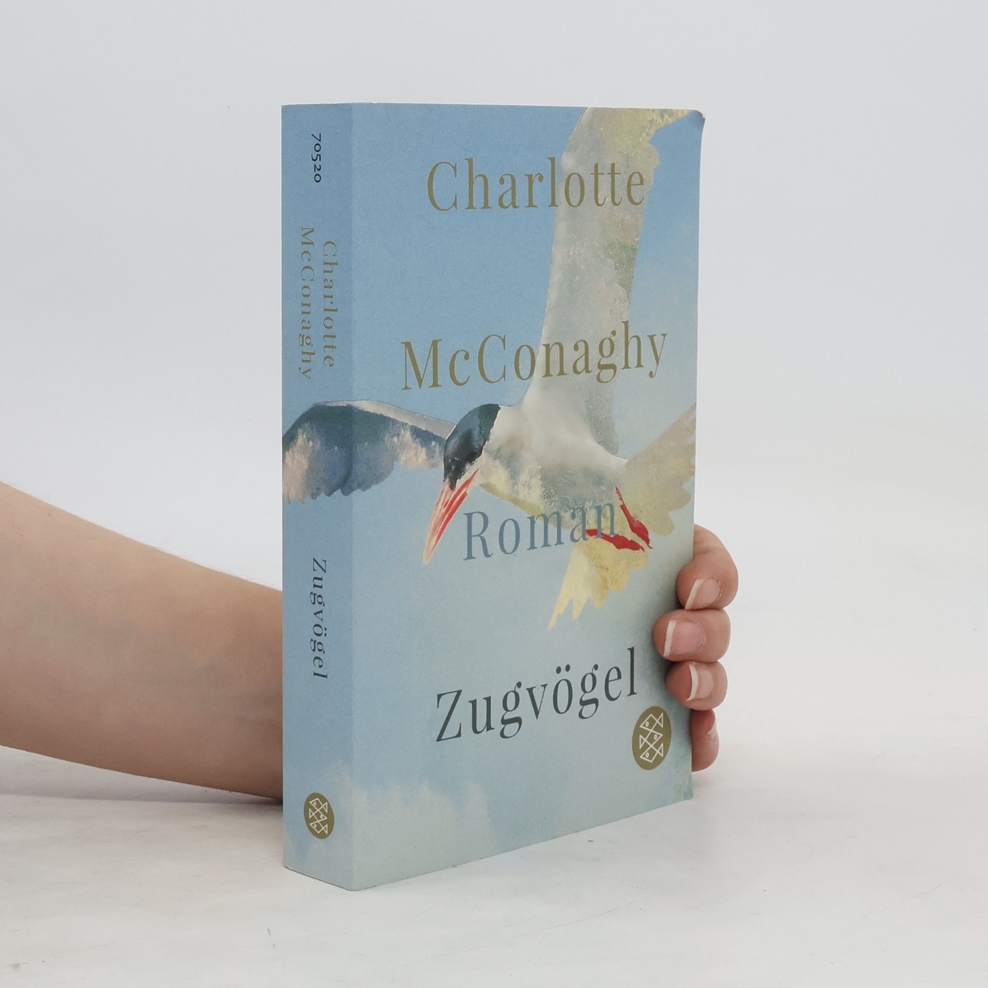 CHARLOTTE. MCCONAGHY Zugvögel