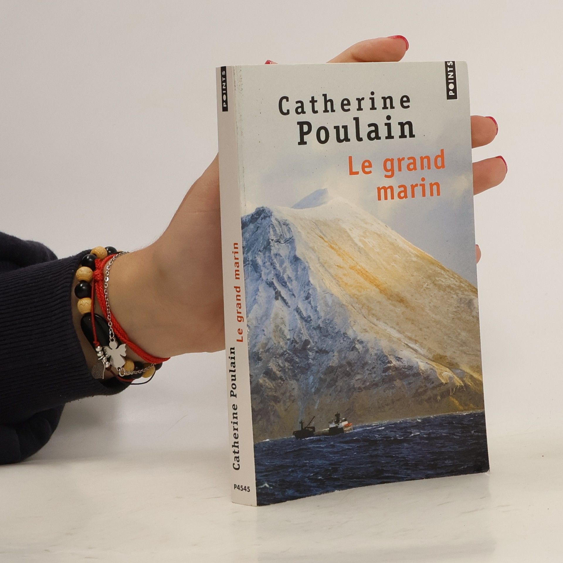 Catherine Poulain Le grand marin
