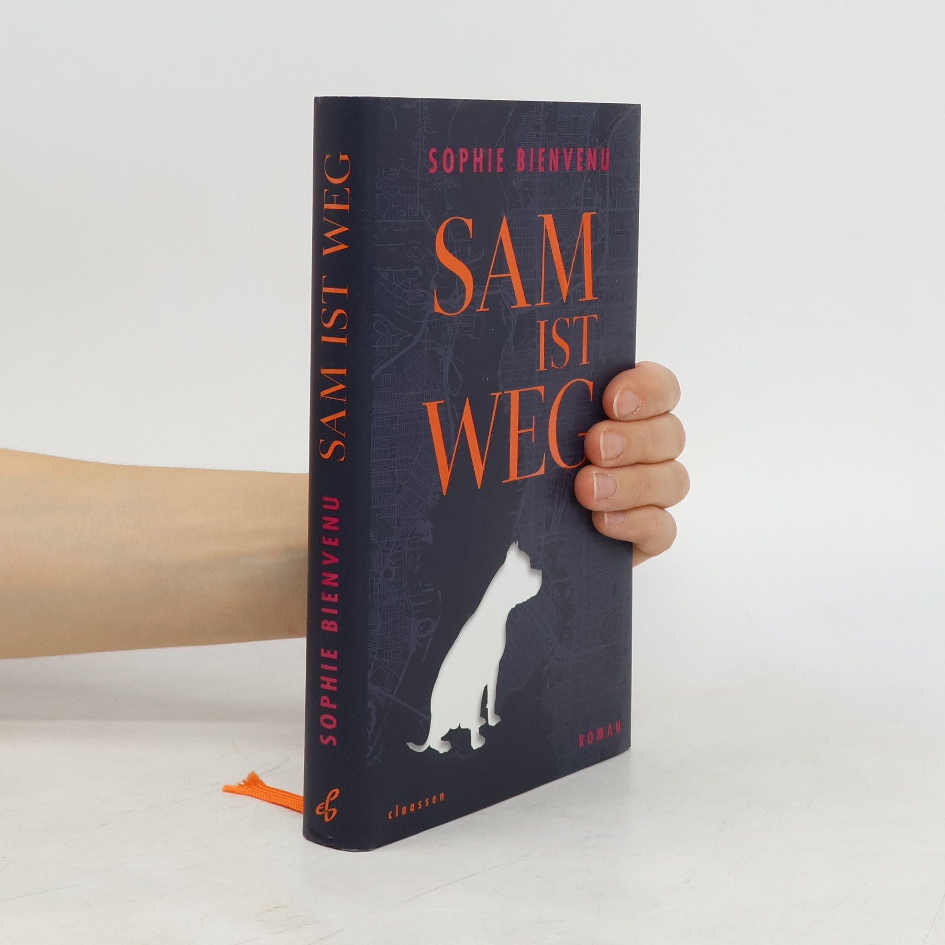 Sophie Bienvenu Sam ist weg