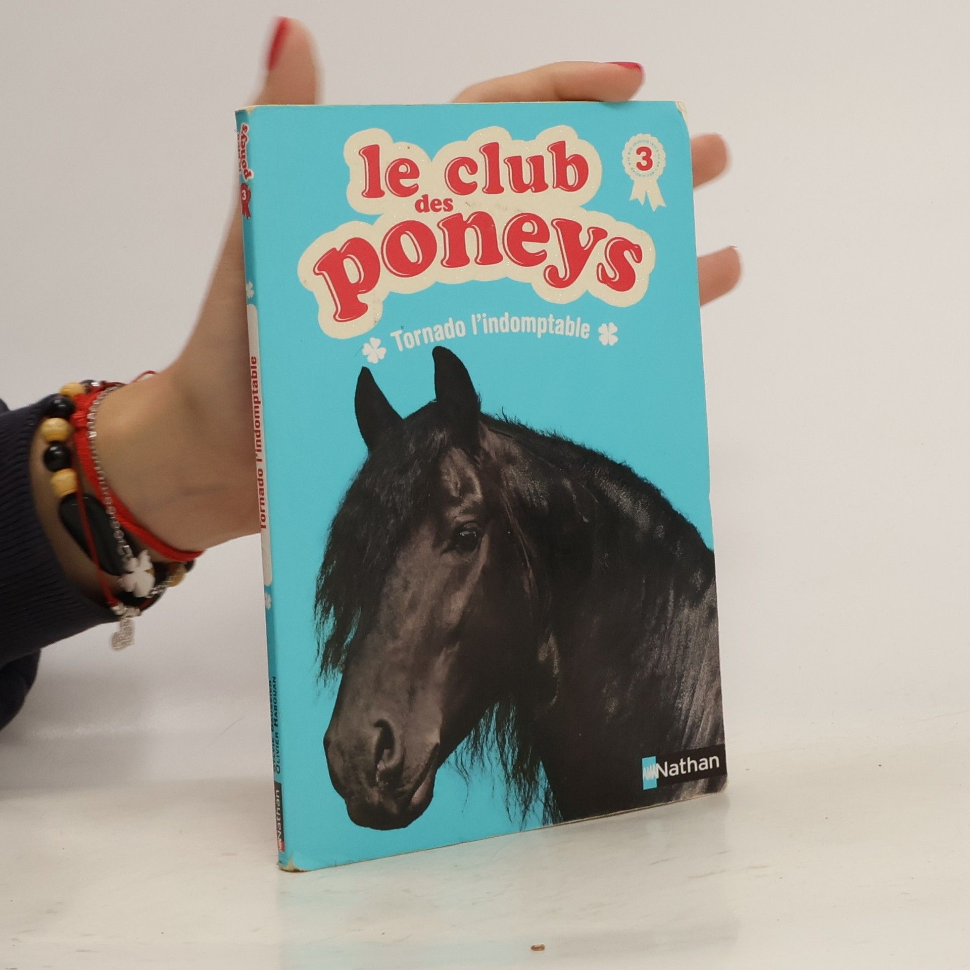 Olivier Harouan Le club des poneys 03