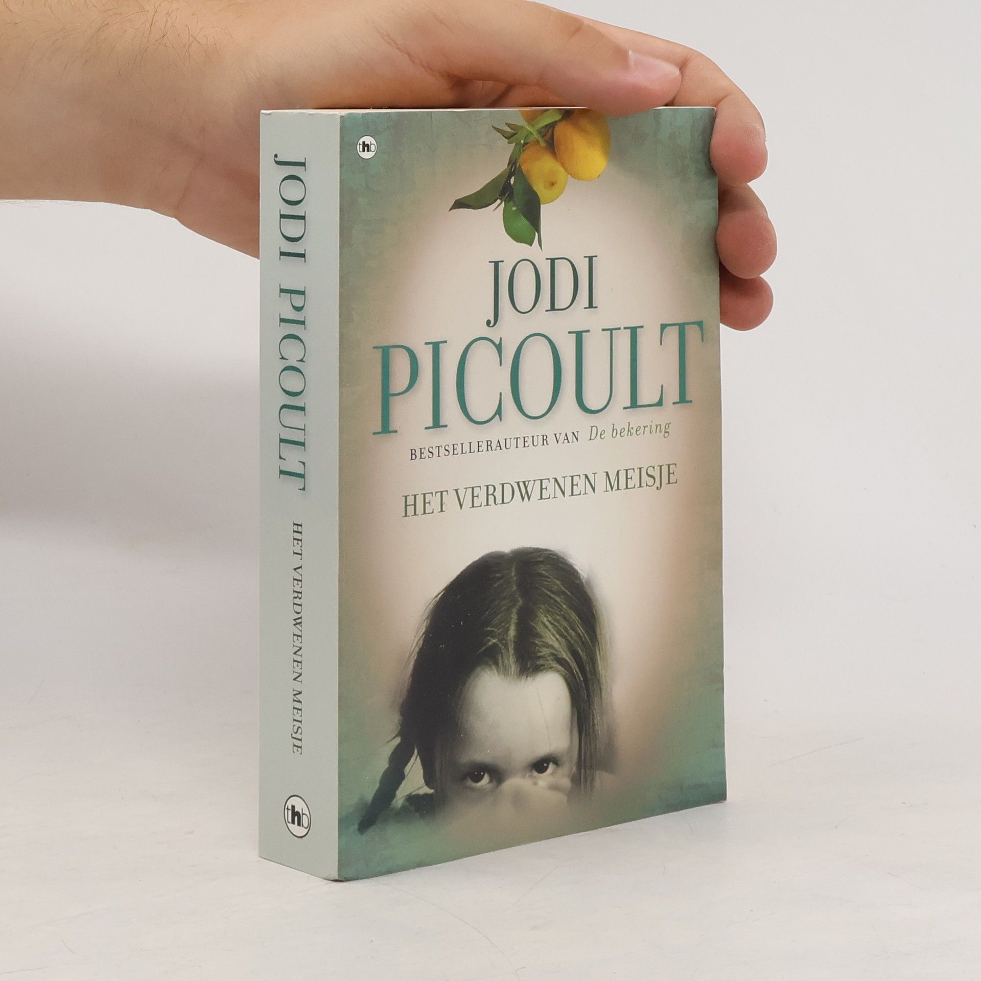 Jodi Picoult Het verdwenen meisje