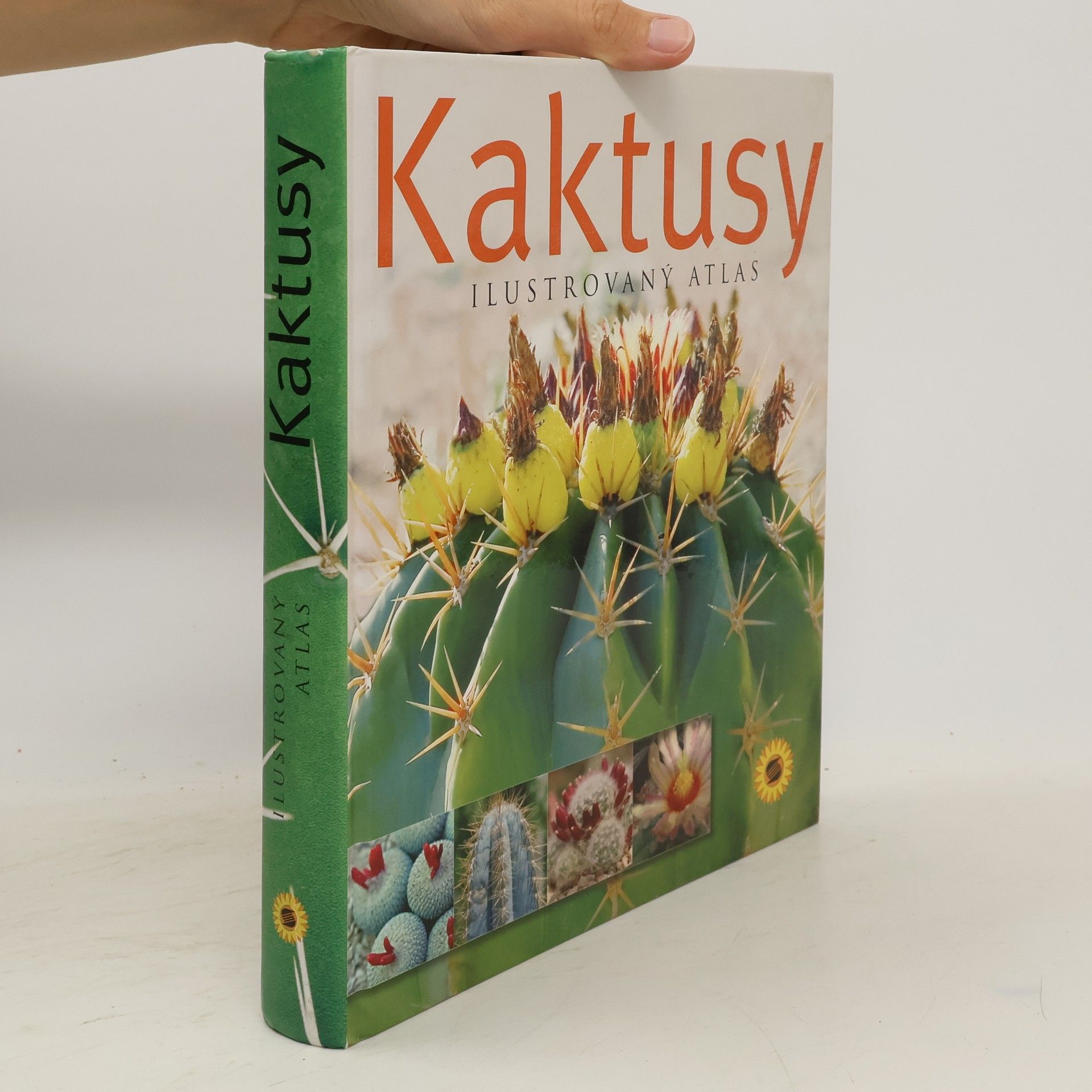 Kolektív autorov Kaktusy
