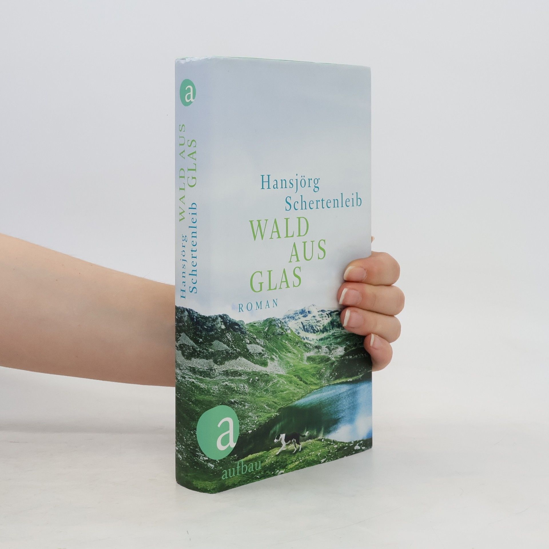 Hansjörg Schertenleib Wald aus Glas